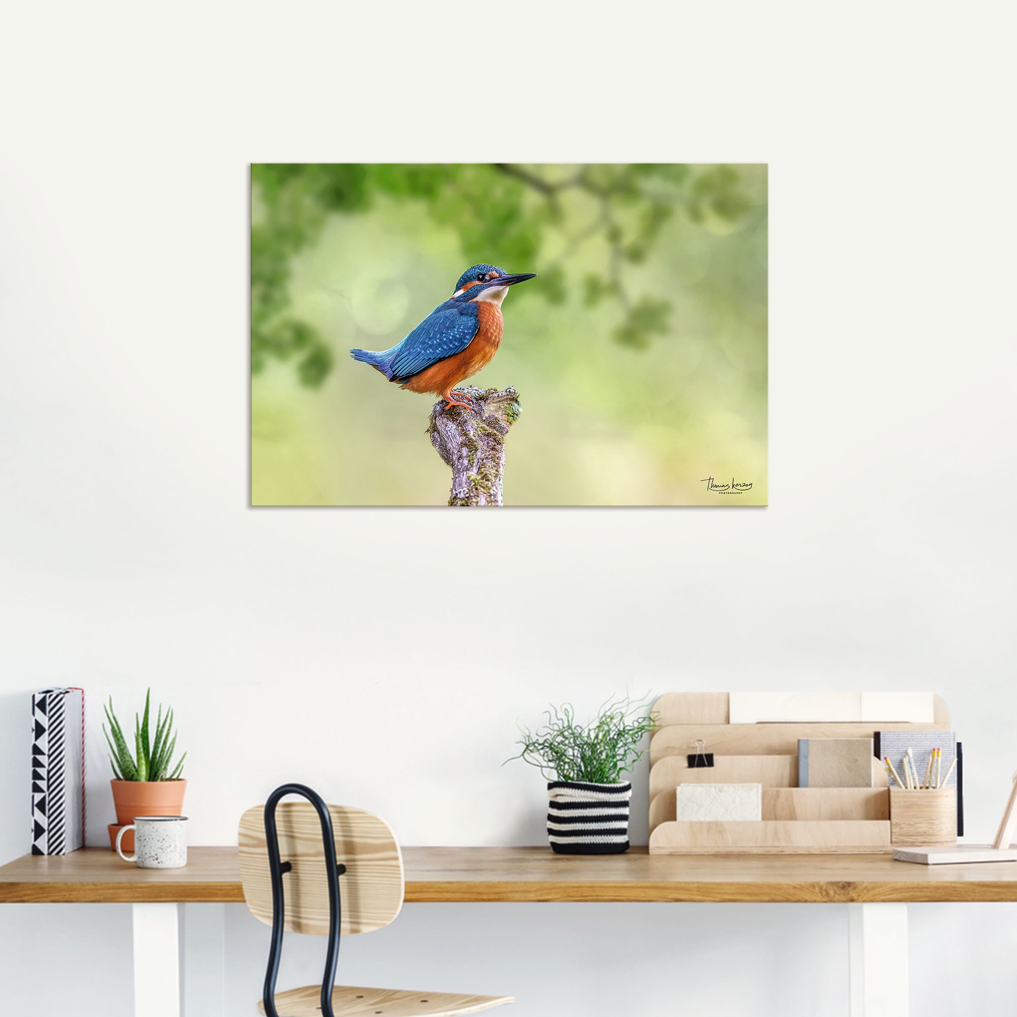 Artland Alu-Dibond-Druck »Eisvogel II« Vogelbilder 1 Stk. tlg. für Innen- und Außenbereich geeignet, Outdoorbild