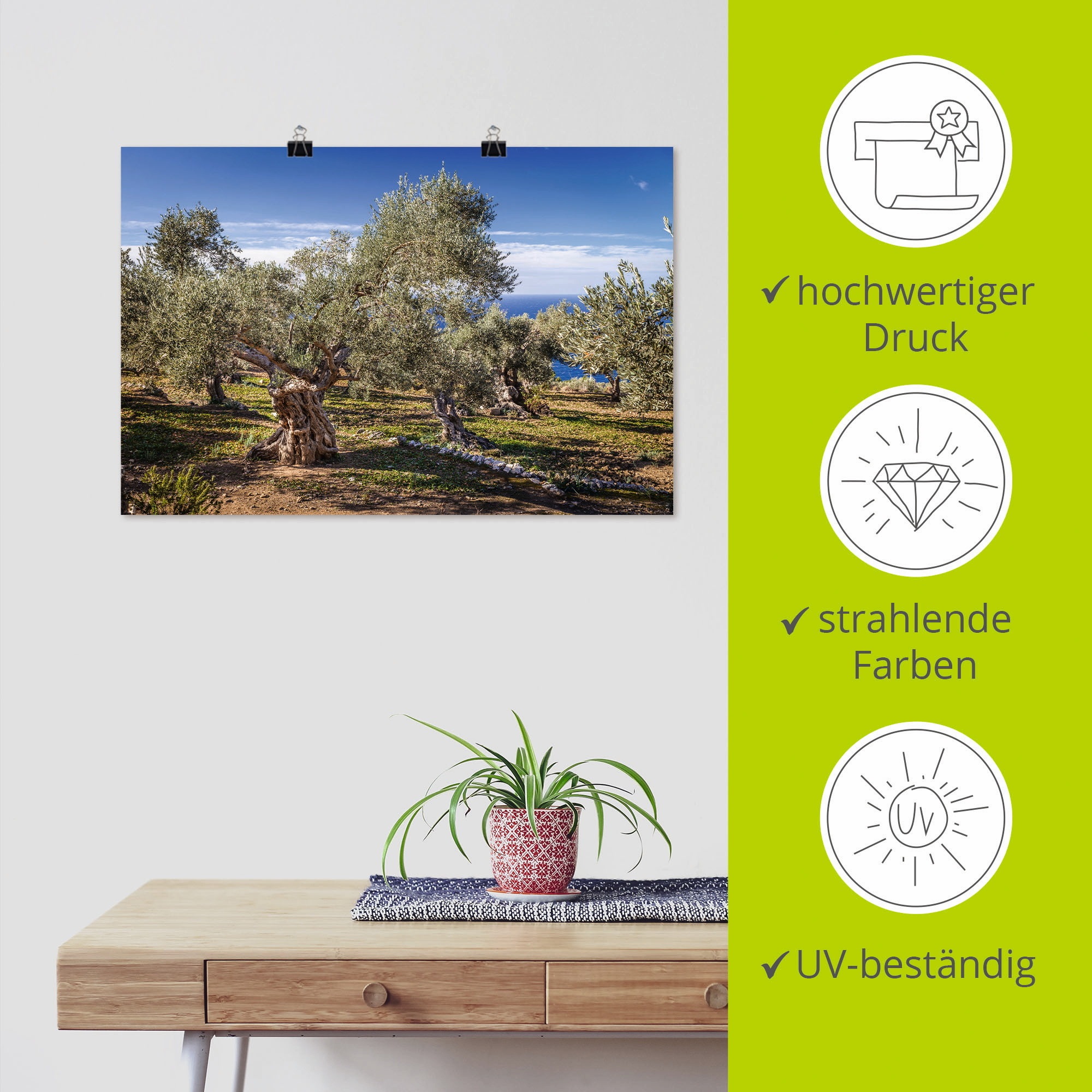 Artland Wandbild »Olivenhain in der Serra de Tramuntana«, Küstenbilder, (1 St.), als Alubild, Outdoorbild, Leinwandbild, Poster in verschied. Größen