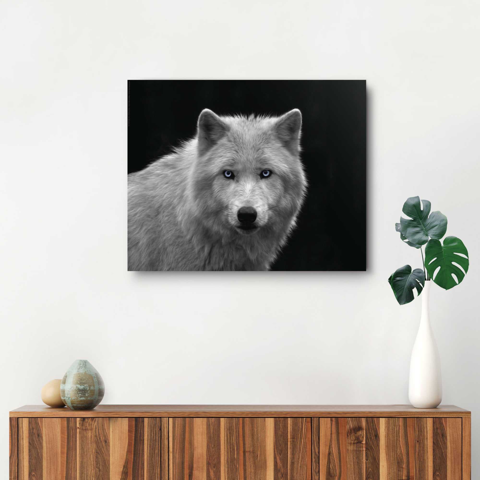 Reinders! Wolf« kaufen Rechnung Wandbild »Weißer auf