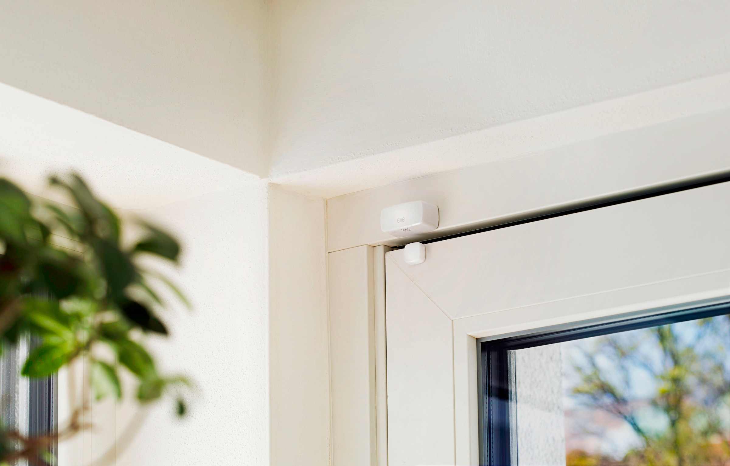 EVE Sensor »Door & Window (Matter)«