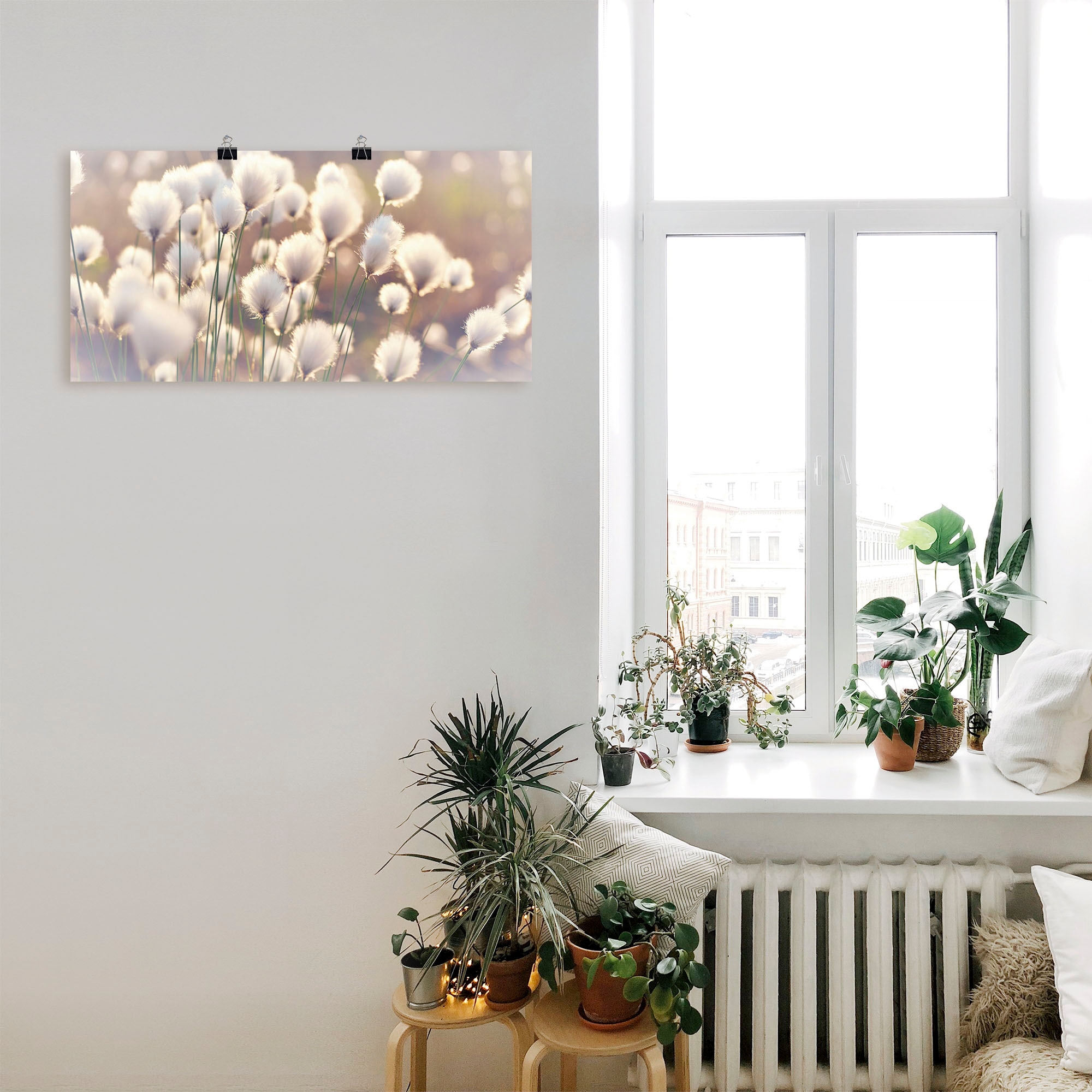 Artland Wandbild »Wollgraszauber im Moor«, Gräser, (1 St.), als Alubild, Outdoorbild, Leinwandbild, Poster, Wandaufkleber