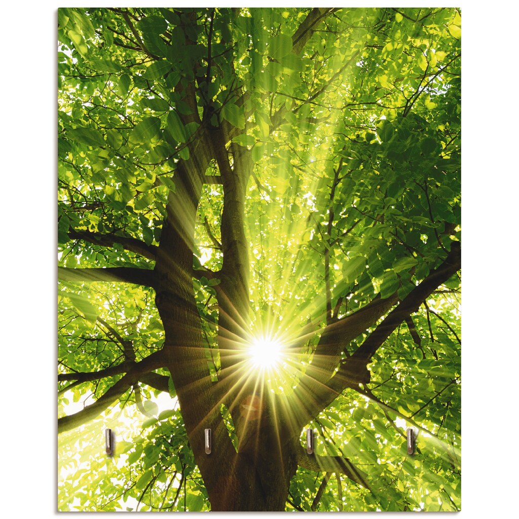Artland Hakenleiste »Sonne strahlt explosiv durch den Baum«