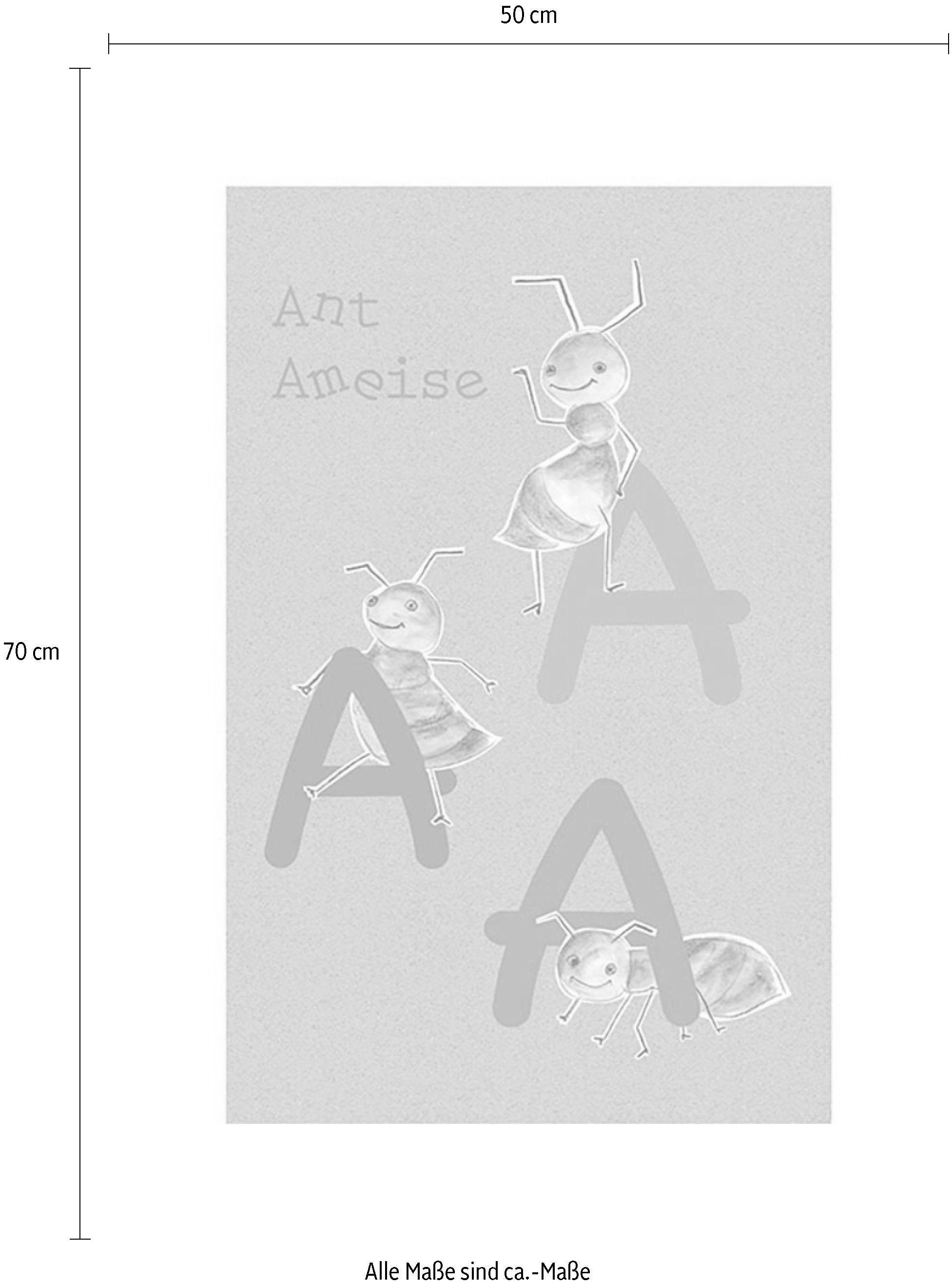 Komar Bild »ABC Animal A«, Buchstaben, (1 St.), Wandbild zur Dekoration - ohne Rahmen