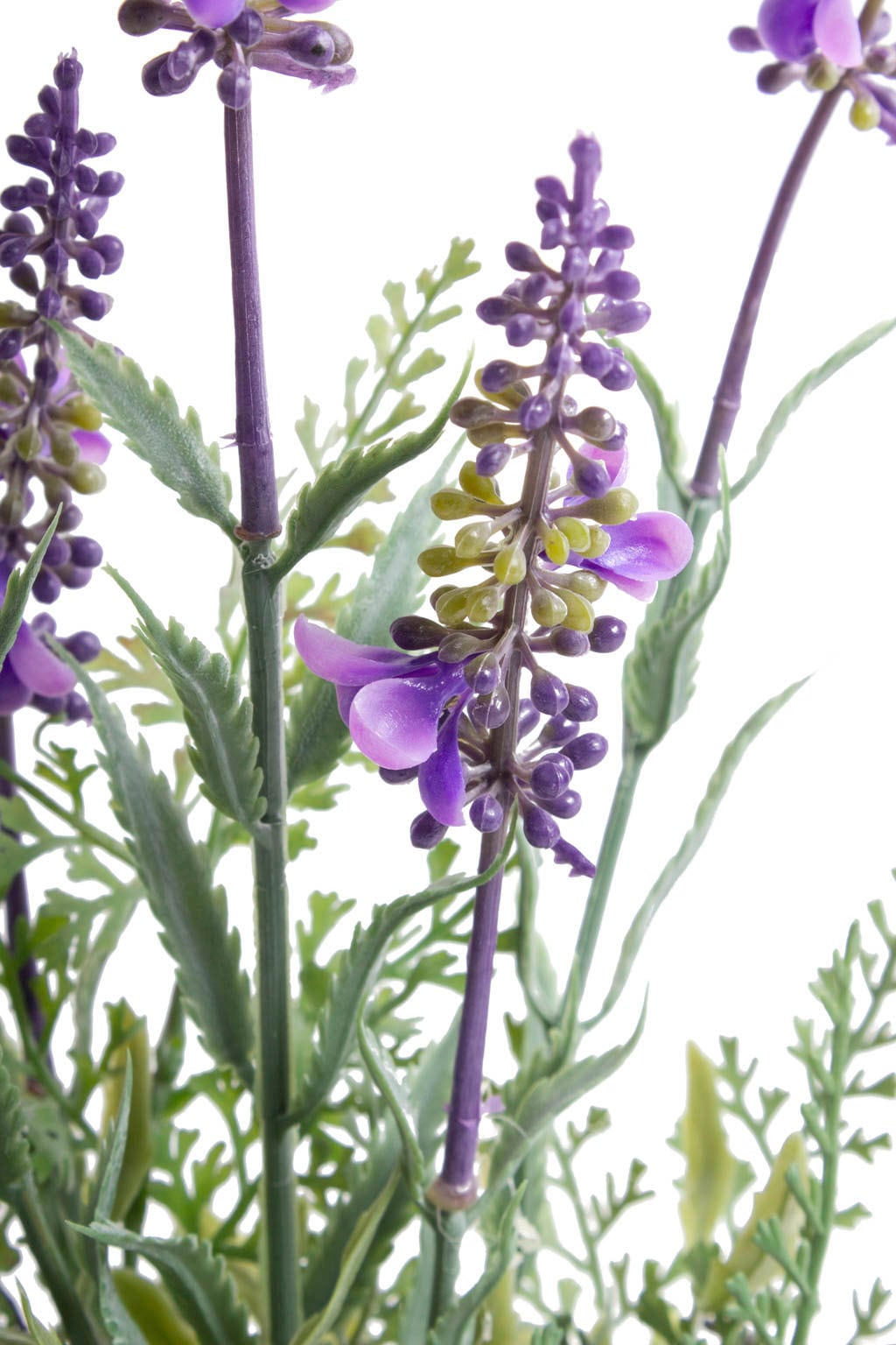 Botanic-Haus Künstliche Zimmerpflanze »Lavendel«
