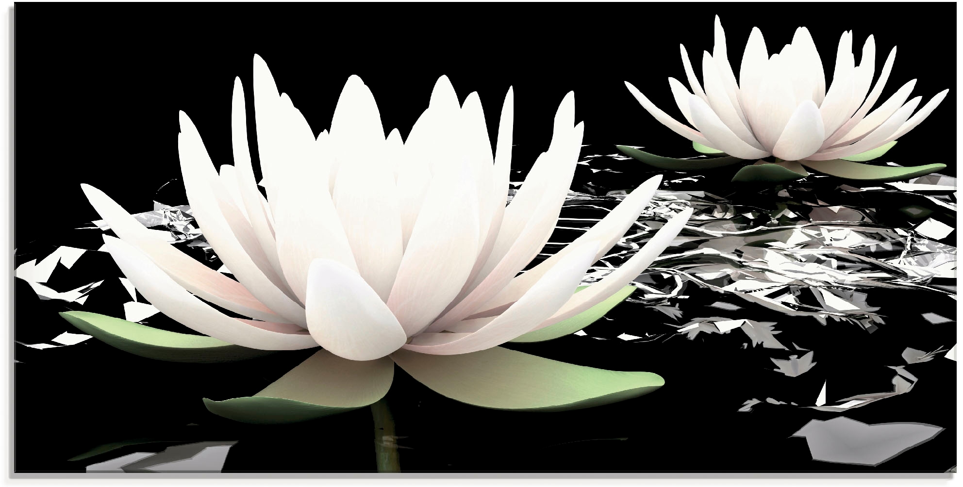 Artland Glasbild »Zwei Lotusblumen auf verschiedenen Größen bestellen in Blumen, Wasser«, auf Raten (1 St.), dem