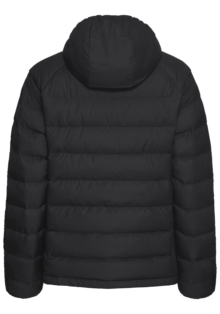 Jack Wolfskin Daunenjacke »WILD PASS DOWN HOODY W RDS« mit Kapuze Daunenjacke mit Kapuze, warm, wind- und wasserabweisend