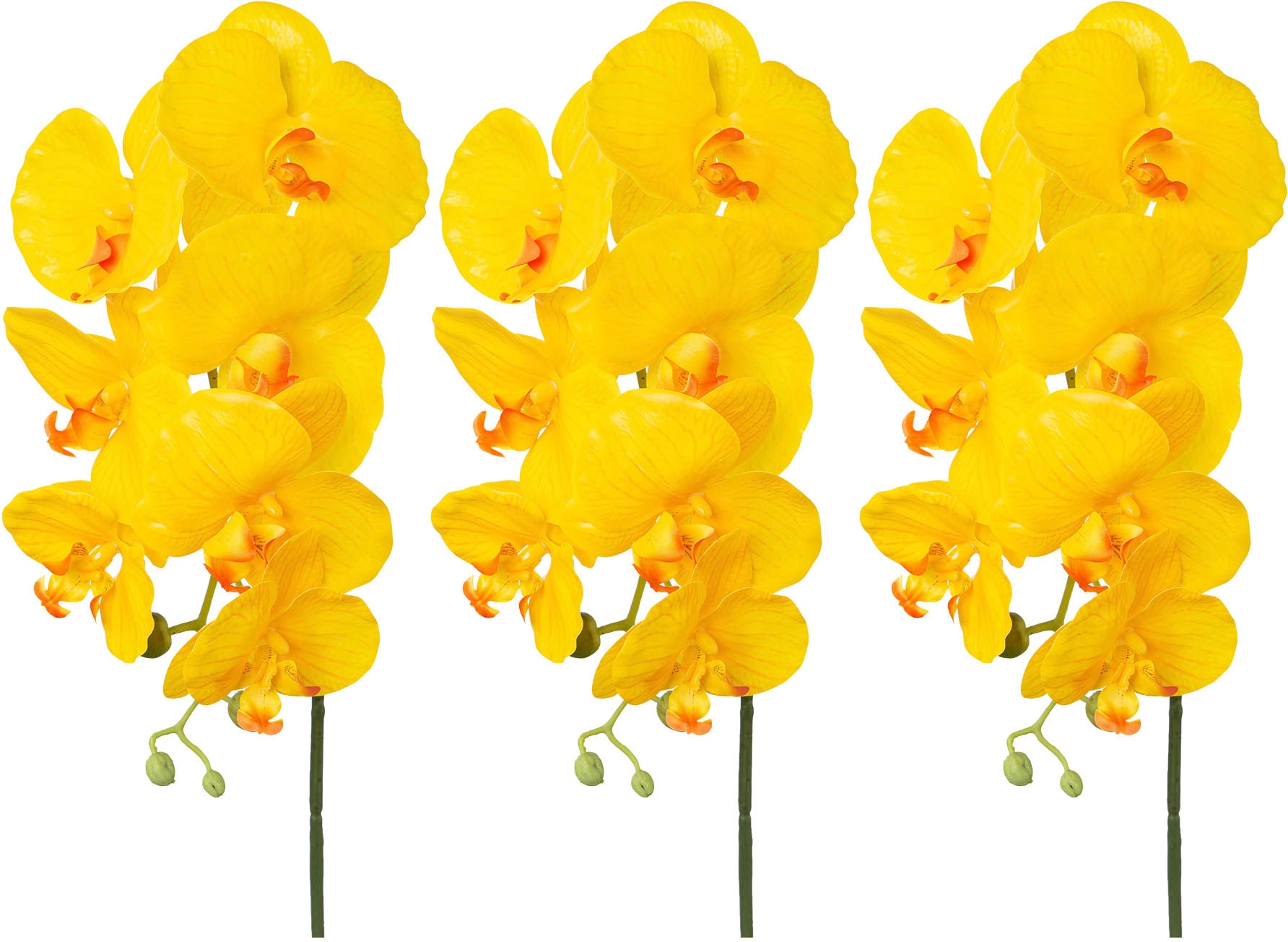 Creativ green Kunstorchidee »Orchidee Phalaenopsis« mit real-touch-Blüten