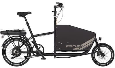 FISCHER Fahrrad E-Bike »LEO«, 9 Gang, Shimano, Sora, Heckmotor 250 W kaufen