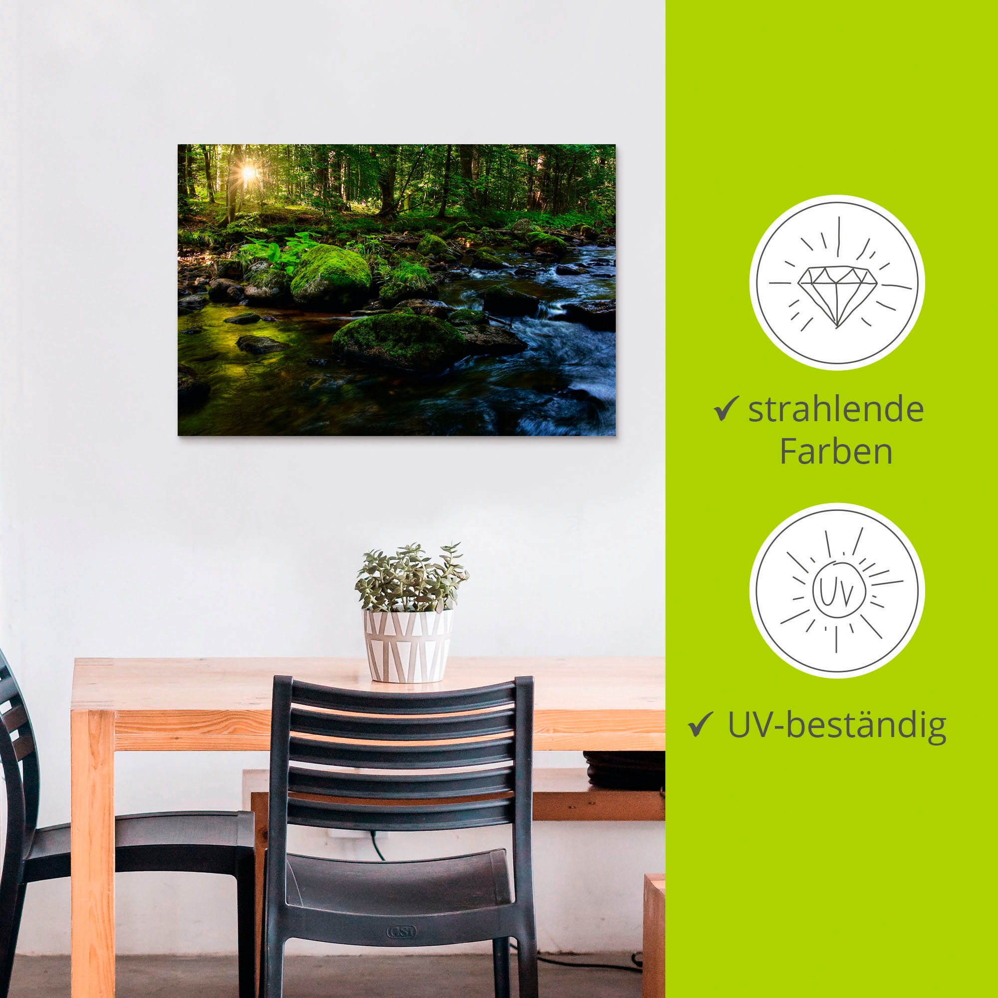 Artland Wandbild »Feenland«, Wald, (1 St.), als Alubild, Outdoorbild, Leinwandbild, Poster in verschied. Größen