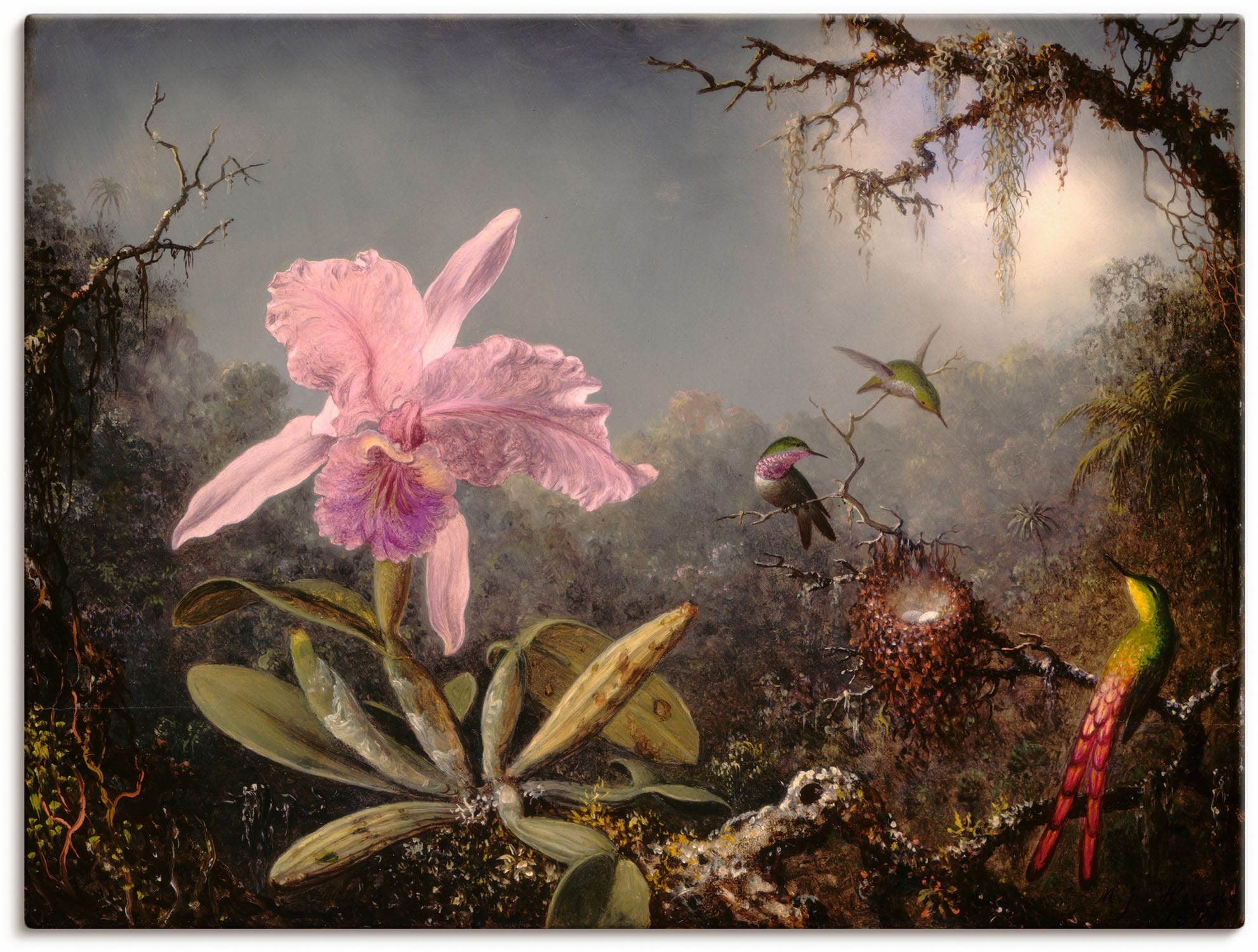 Artland Wandbild »Cattleya Orchidee und drei Kolibris.«, Blumenbilder, (1 St.),  als Leinwandbild, Poster in verschied. Größen bequem kaufen