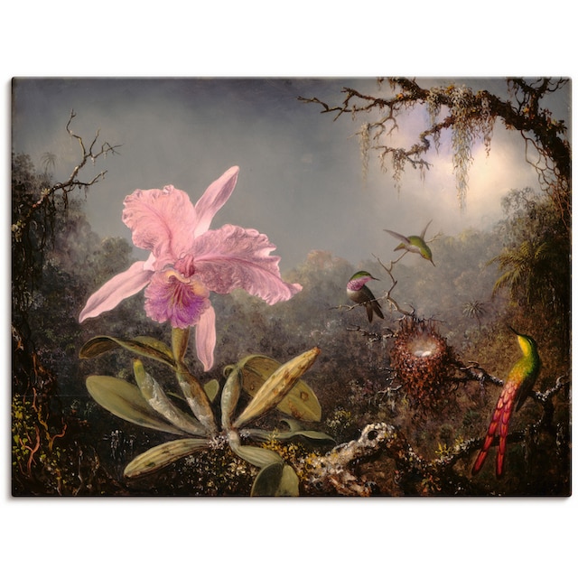 Artland Wandbild »Cattleya Orchidee und drei Kolibris.«, Blumenbilder, (1 St.),  als Leinwandbild, Poster in verschied. Größen bequem kaufen