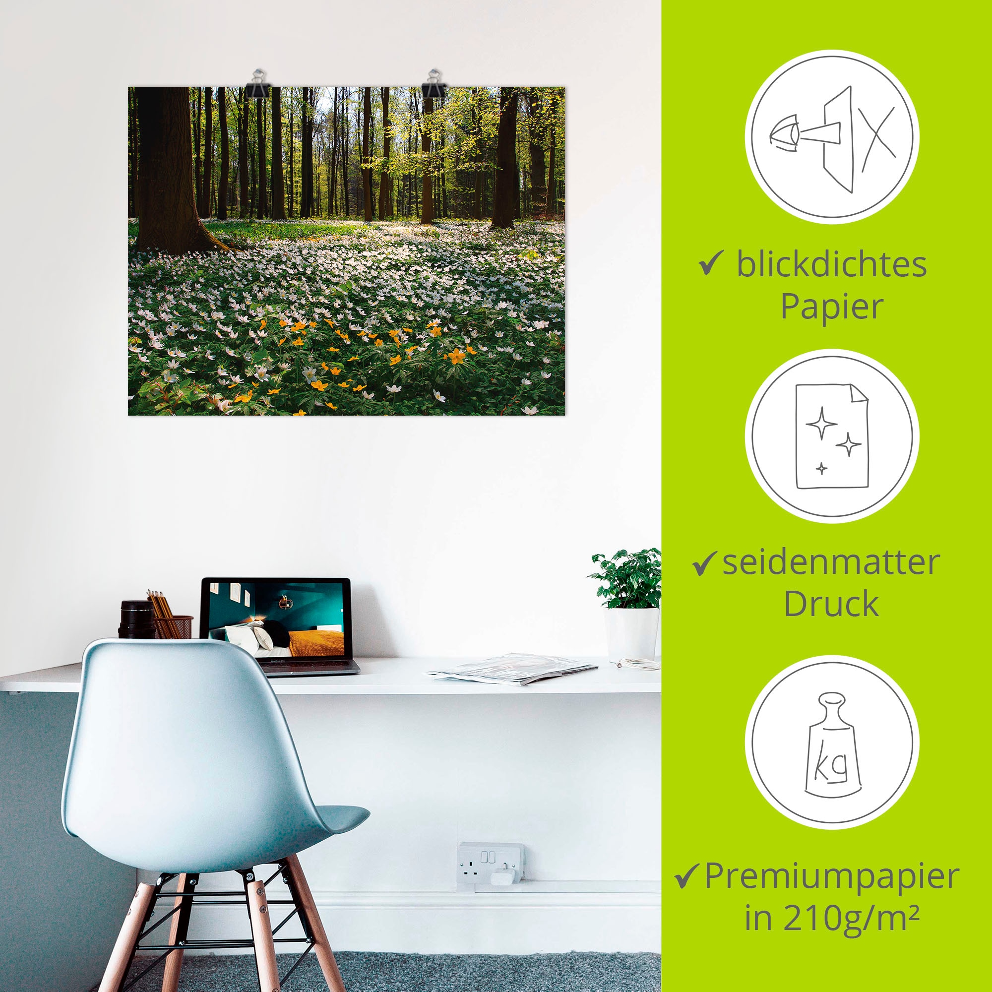 Artland Wandbild »Frühlingswald bedeckt mit Windröschen«, Wald, (1 St.), als Leinwandbild, Poster in verschied. Größen
