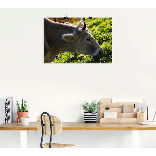 Wandaufkleber Kuh«, Poster St.), Raten (1 »Eine versch. bestellen glückliche Kuhbilder, Größen Artland als Südtiroler auf oder Wandbild Alubild, in Leinwandbild,