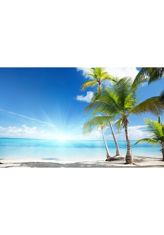 Consalnet Fototapete »Sonniger Strand mit Palme«, Strand kaufen