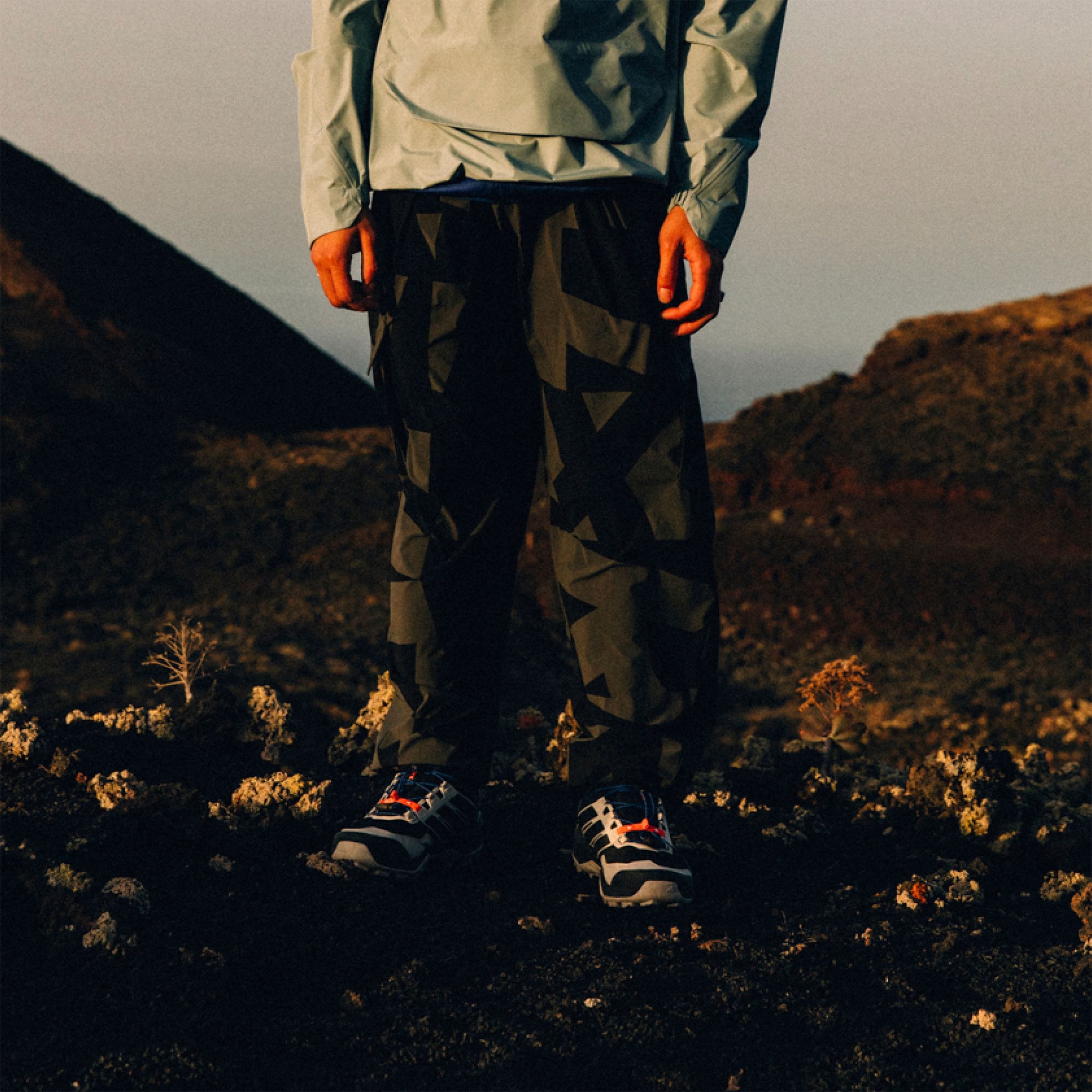adidas TERREX Outdoorhose »CARGO AOP PANTS«, (1 tlg.)
