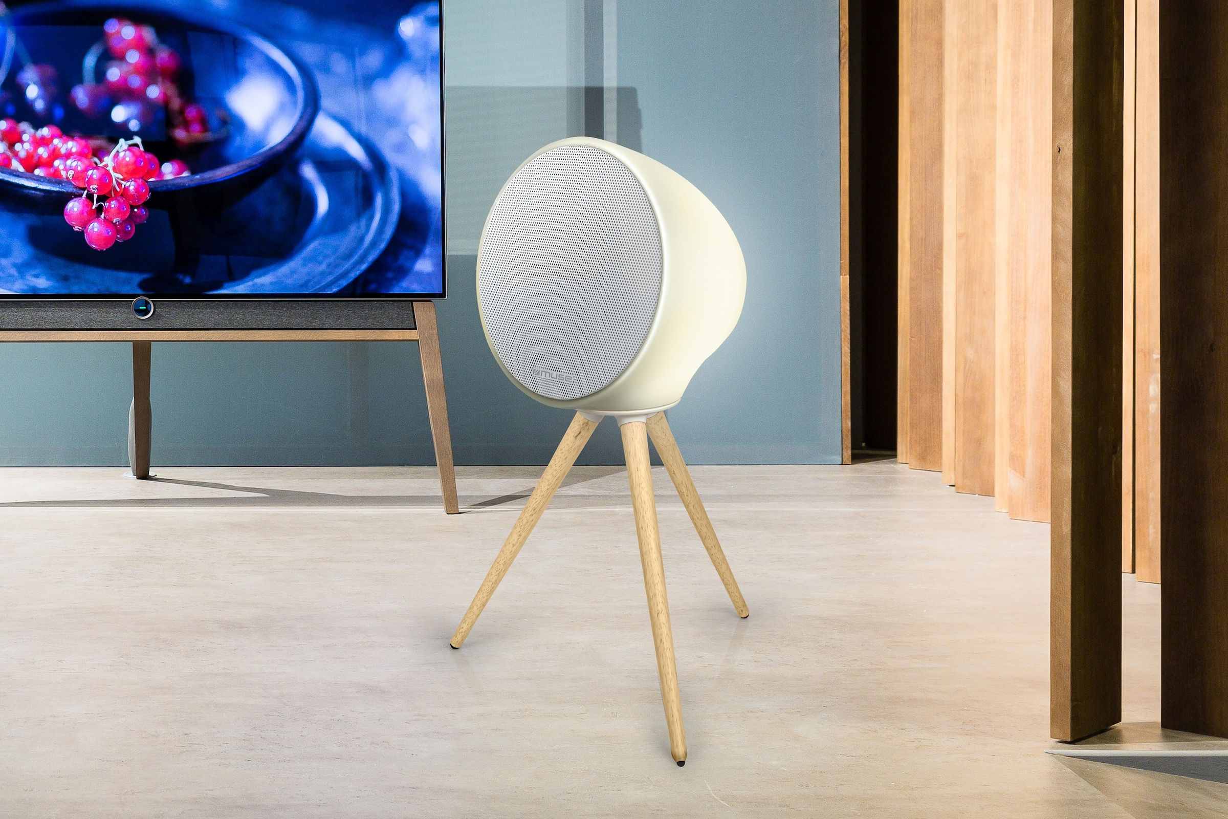 Muse Bluetooth-Lautsprecher »ML-655 BT«