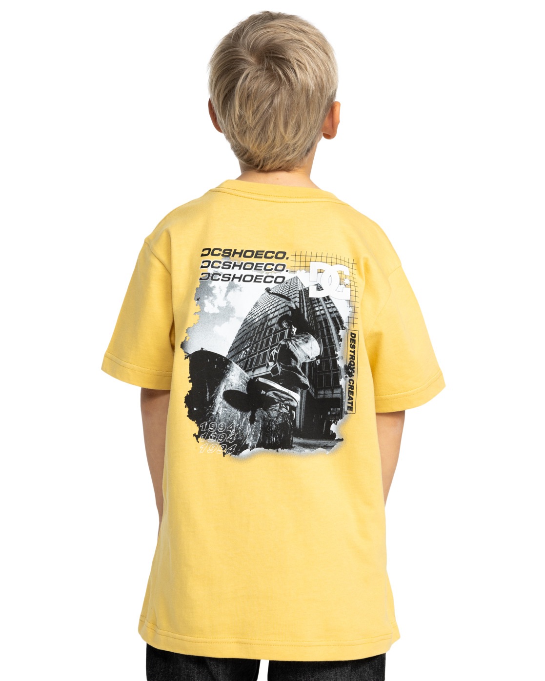DC Shoes Shirttop »Whereabouts«