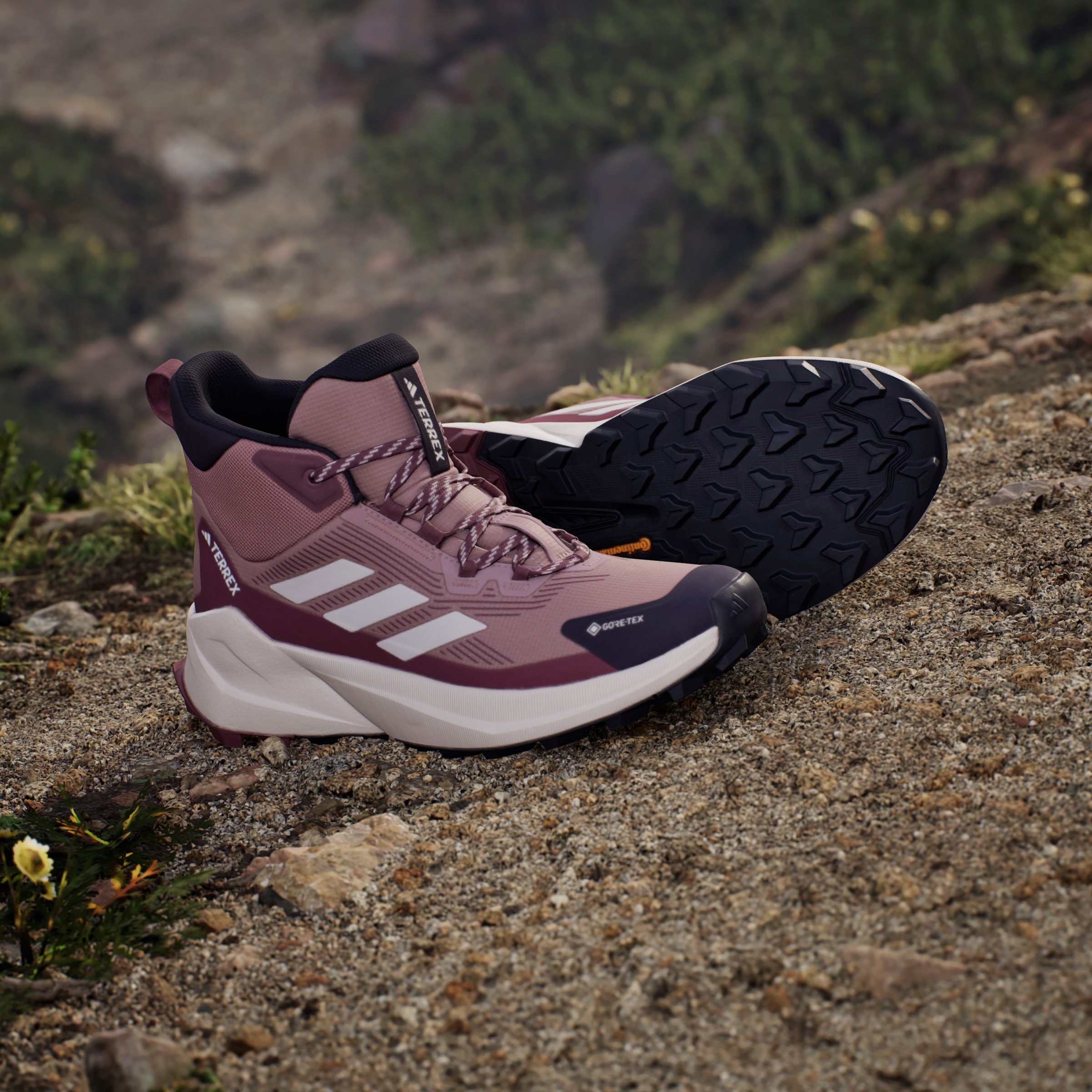 adidas TERREX Wanderschuh »TERREX TRAILMAKER 2.0 MID GORE-TEX«, wasserdicht