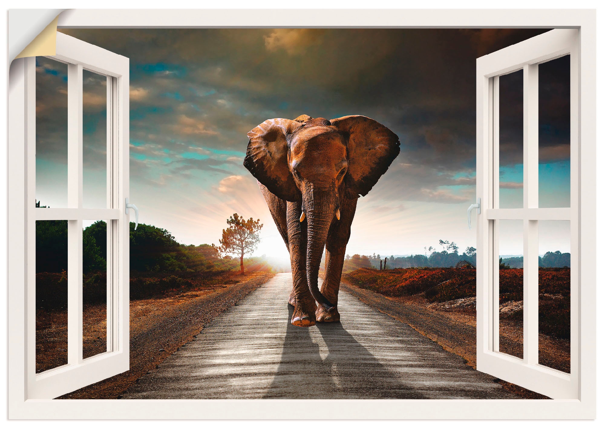 Artland Wandbild versch. als auf Rechnung Straße«, »Elefant oder auf kaufen Größen in (1 St.), Fensterblick, Poster Leinwandbild, Wandaufkleber