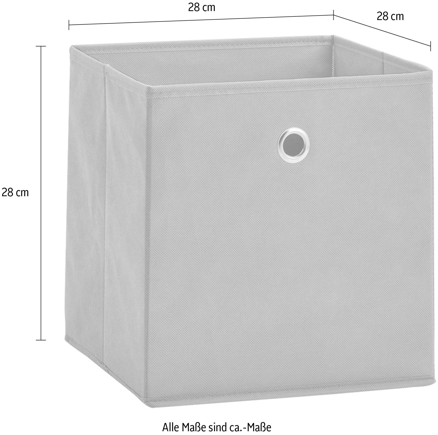 Zeller Present Aufbewahrungsbox, (Set, 2 St.), faltbar und schnell verstaut