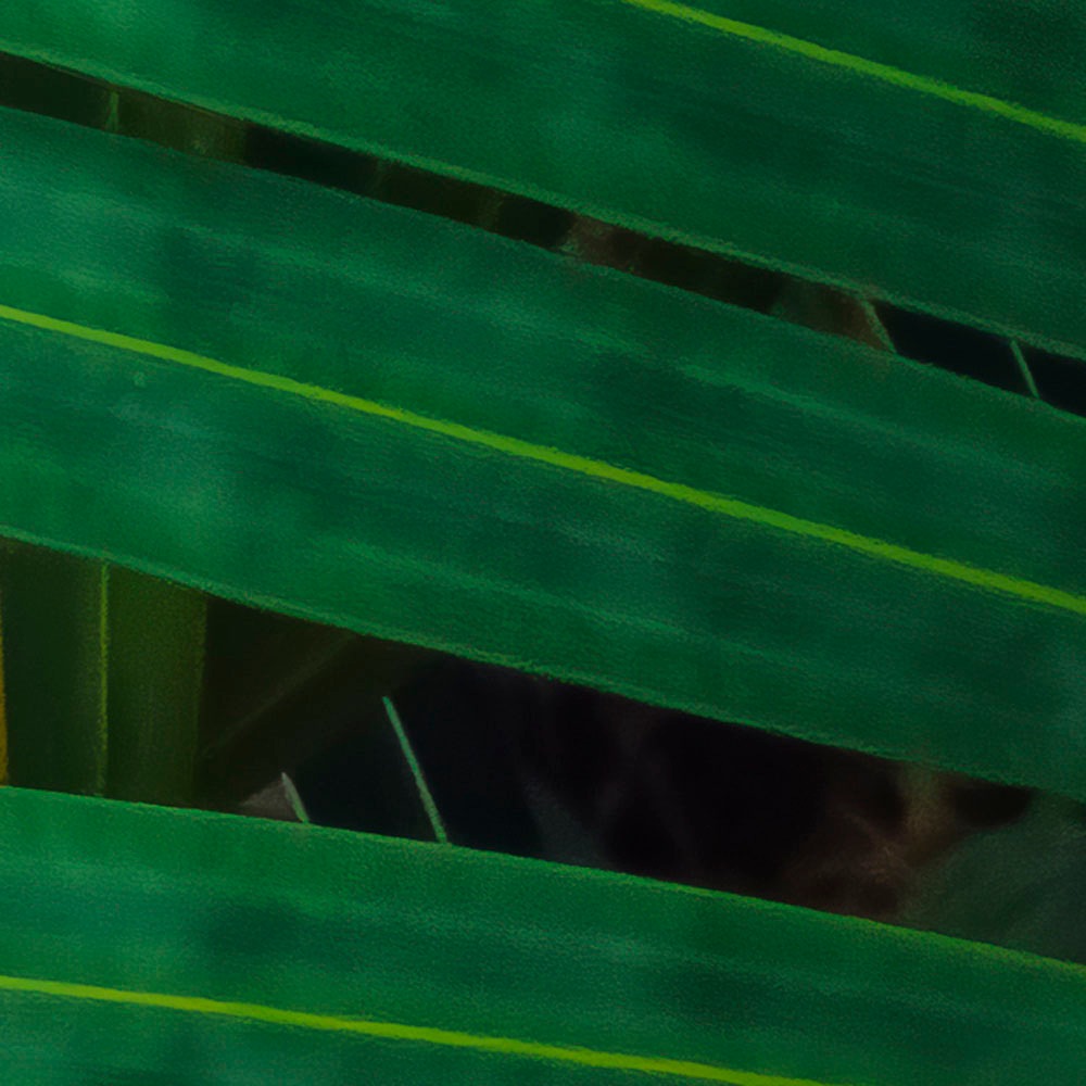 Komar Fototapete »Digitaldruck Vlies - Amazon Fern - Größe 400 x 250 cm«, bedruckt, Wohnzimmer, Schlafzimmer
