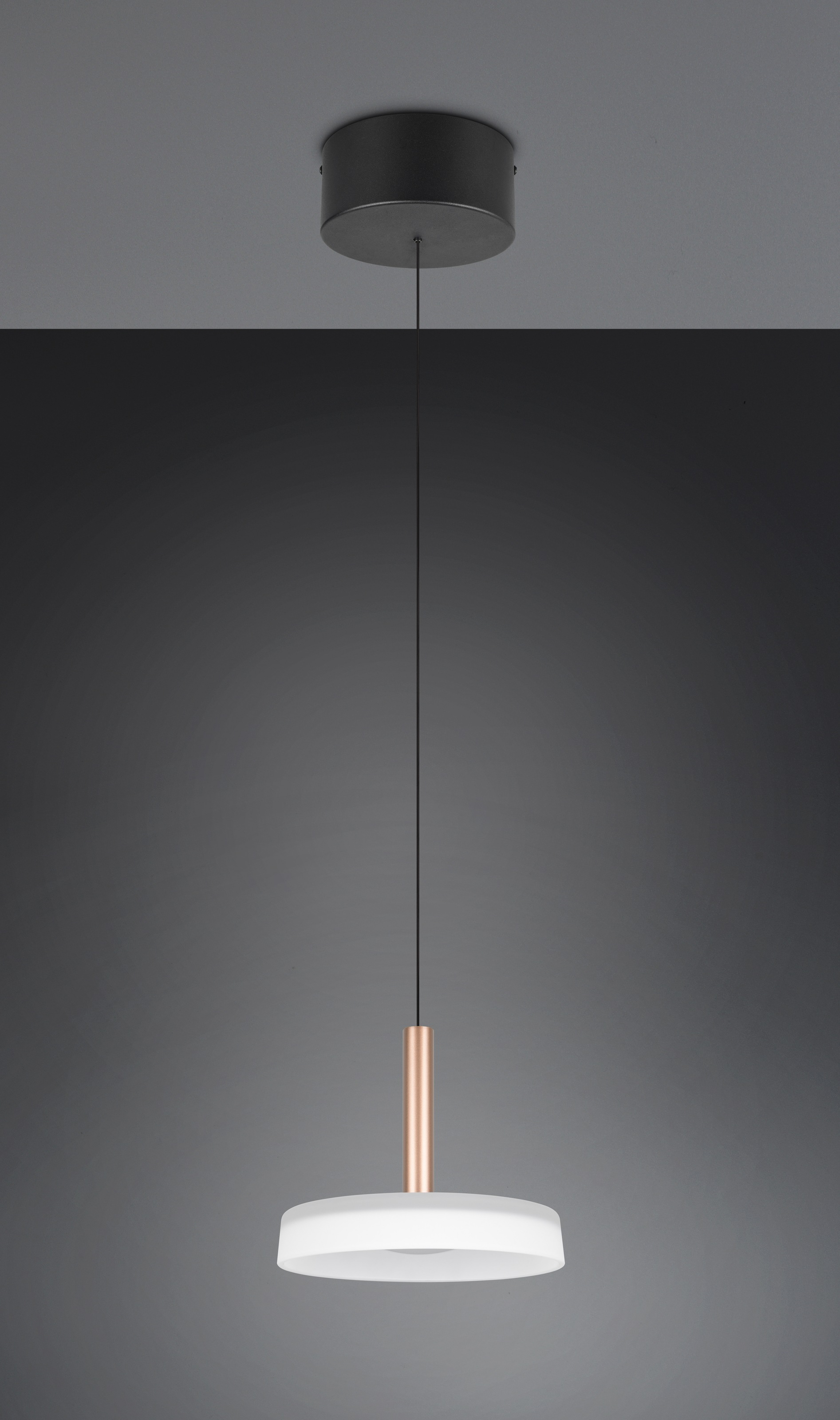 TRIO Leuchten LED Pendelleuchte »CELESTE dimmbare LED Hängelampe aus Metall und Glas, 10W 1100 Lumen« LED-Board 1 Stk. Warmweiß einfach höhenverstellbar von 50-200 cm, Ø 22cm, 3-Stufen Dimmfunktion