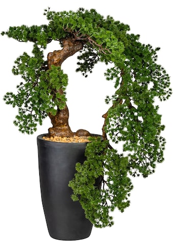 Kunstbonsai »Carolyne«