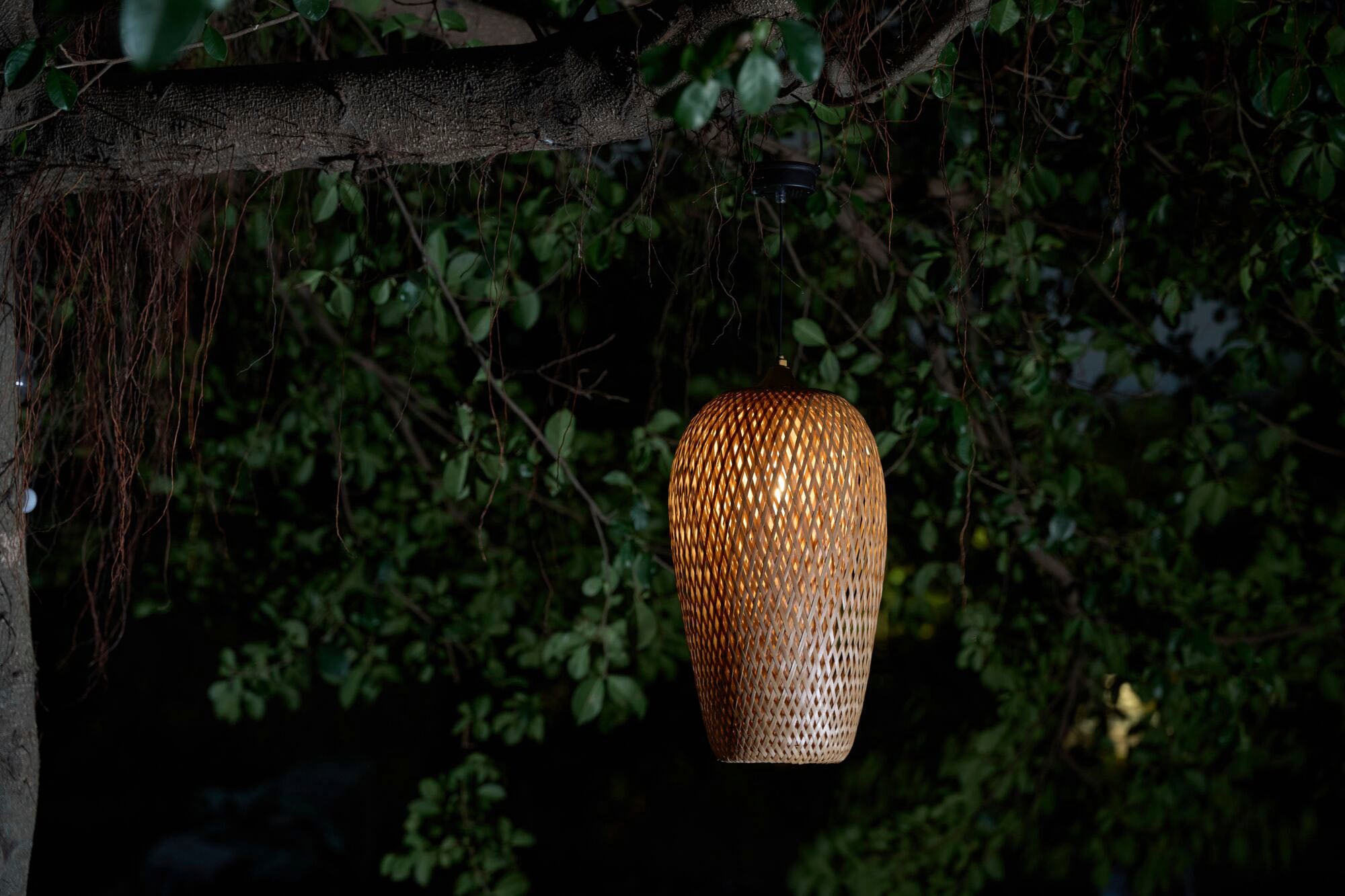 Pauleen LED Pendelleuchte »Sunshine Bliss Solarpendel Outdoor Bambus/Rattan/Kunststoff/Metall«, 1 flammig, Solar