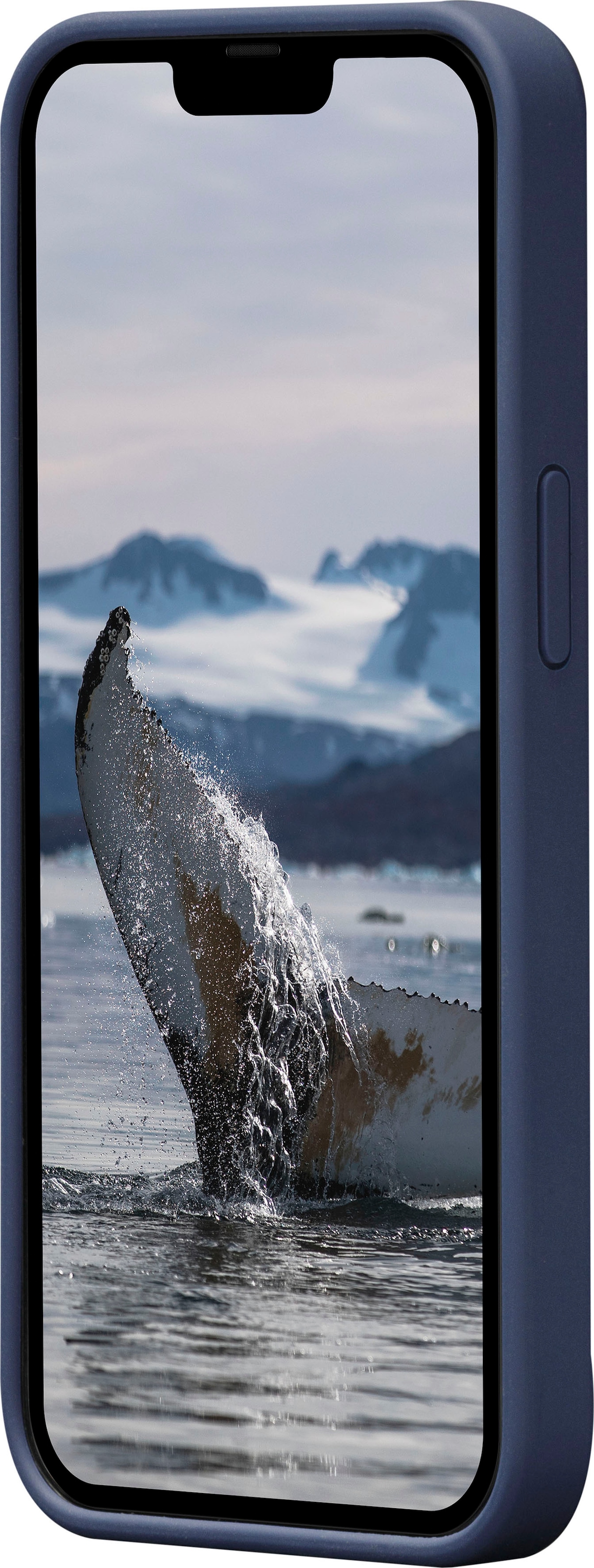 dbramante1928 Handyhülle »Monaco iPhone 14 Pro« iPhone 14 Pro 15,4 cm (6,1 Zoll)