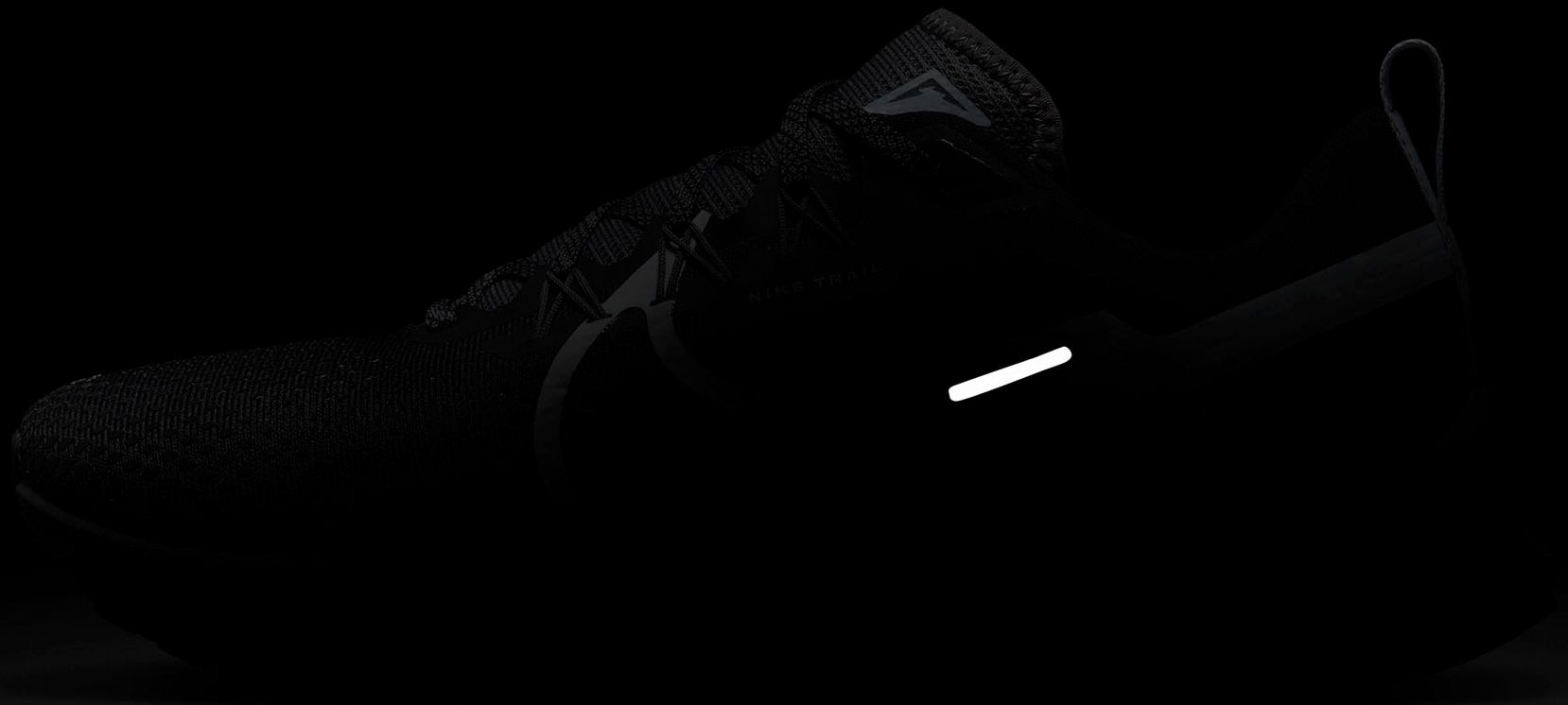 Nike Laufschuh »PEGASUS TRAIL 4 TRAIL«