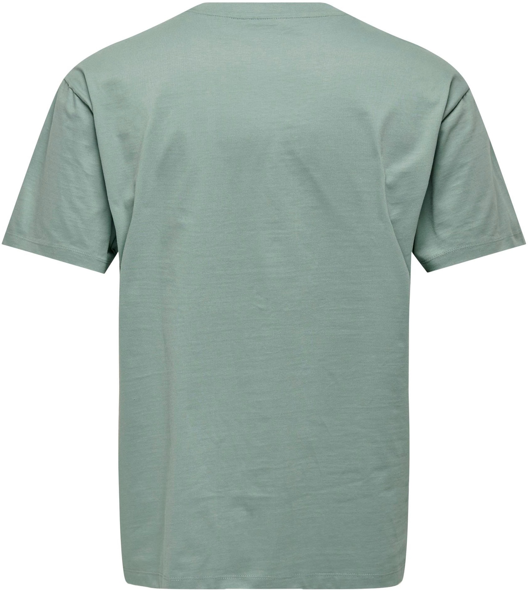 ONLY & SONS T-Shirt »FRED«