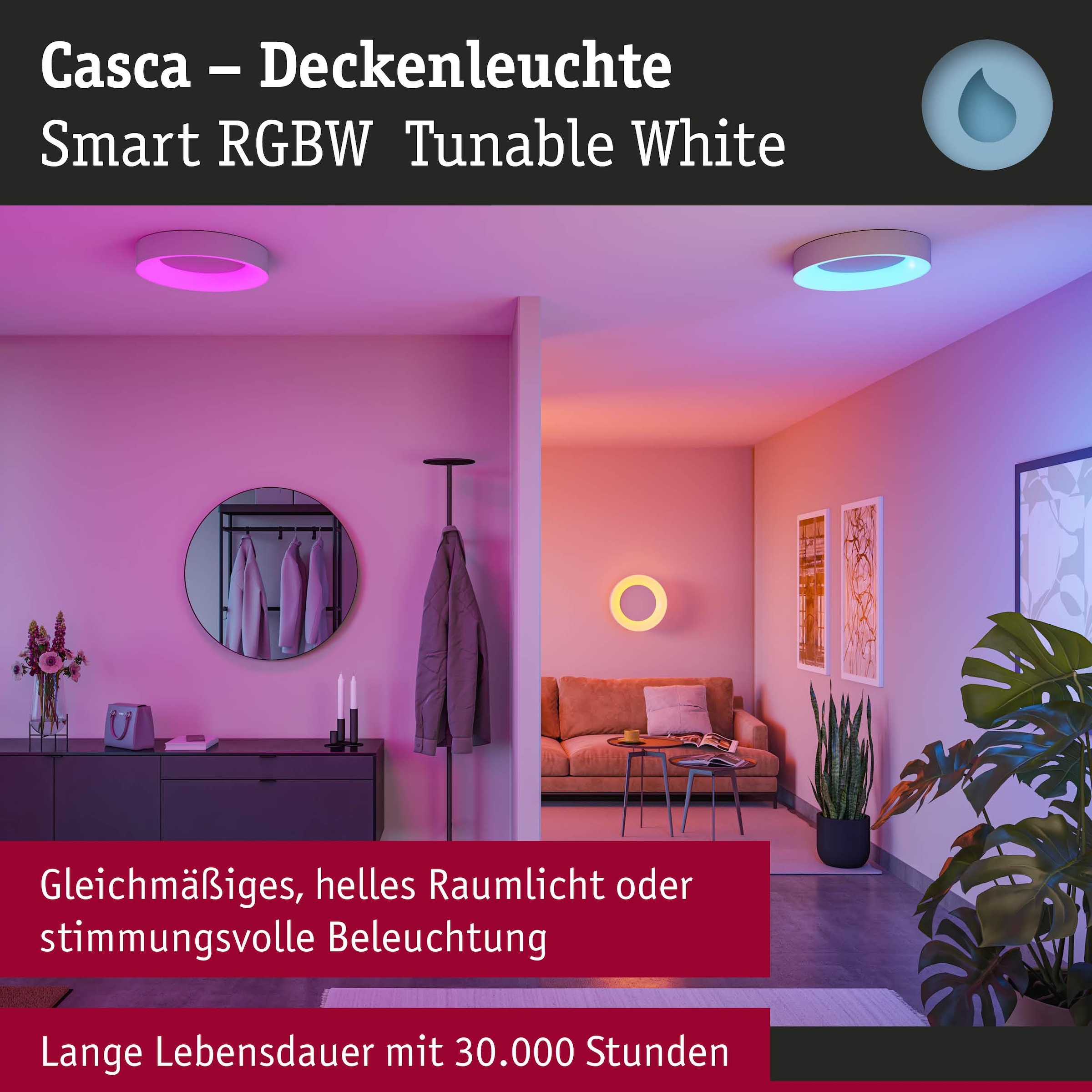 Paulmann Deckenleuchte »Casca« LED-Modul 1 Stk. Tageslichtweiß dimmbar