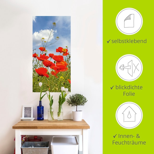Artland Wandbild »Mohnblumen im Panorama«, Blumenbilder, (1 St.), als  Alubild, Outdoorbild, Wandaufkleber in verschied. Größen auf Raten kaufen
