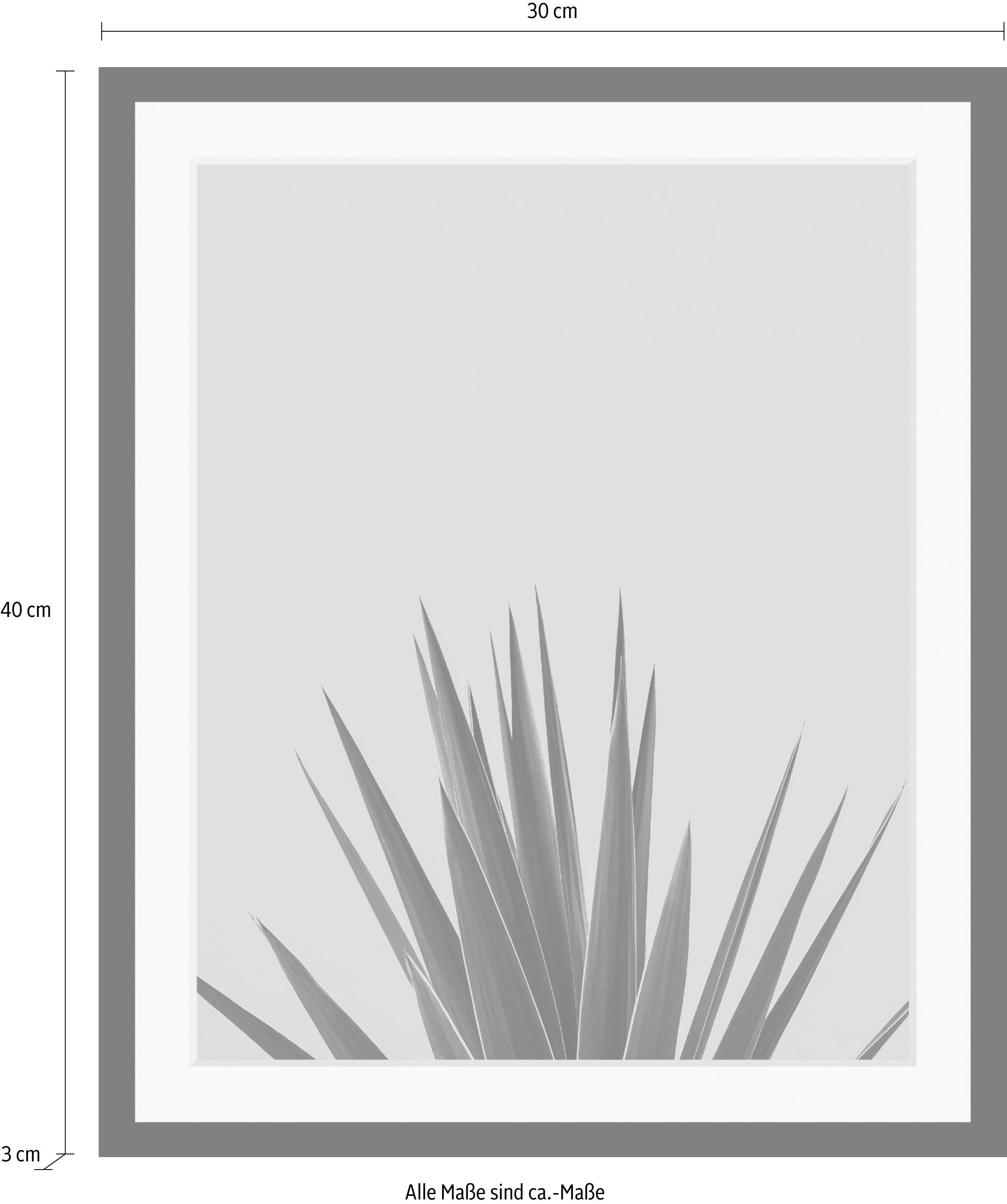 queence Bild »Palme«, Kunst-Pflanzen-Foto-Pflanzenbilder-Stechpalme, HD Premium Poster-Druck inkl. Holzrahmen