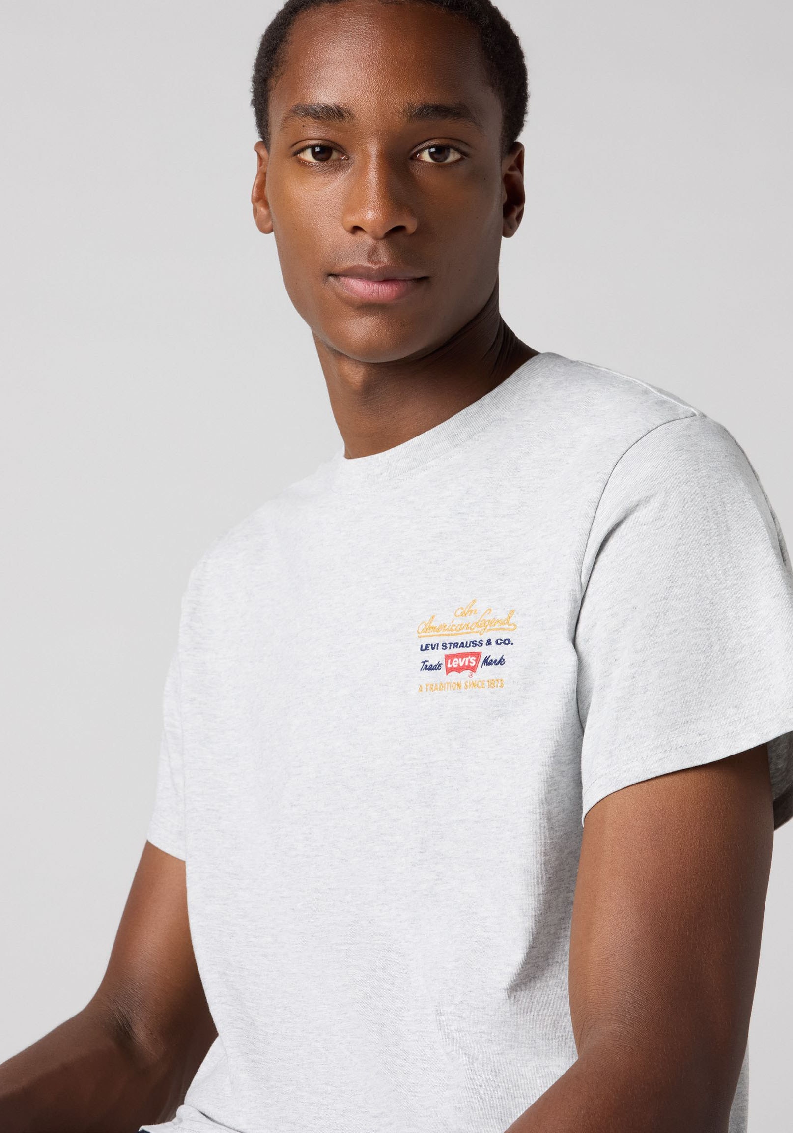 Levi's® T-Shirt »LV T-Shirt RELAXED«
