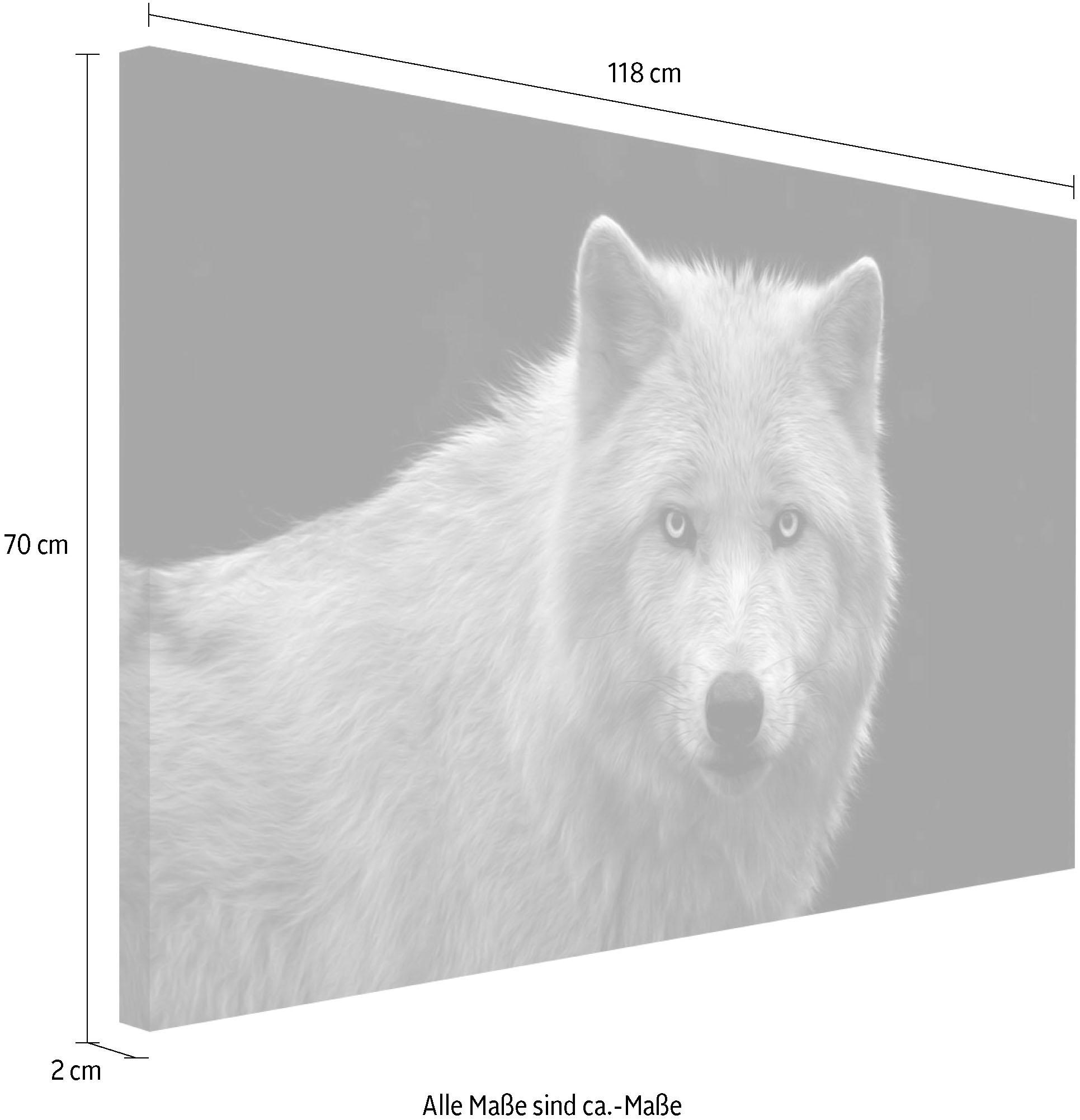 kaufen »Wolfsauge« Reinders! auf Wandbild Raten