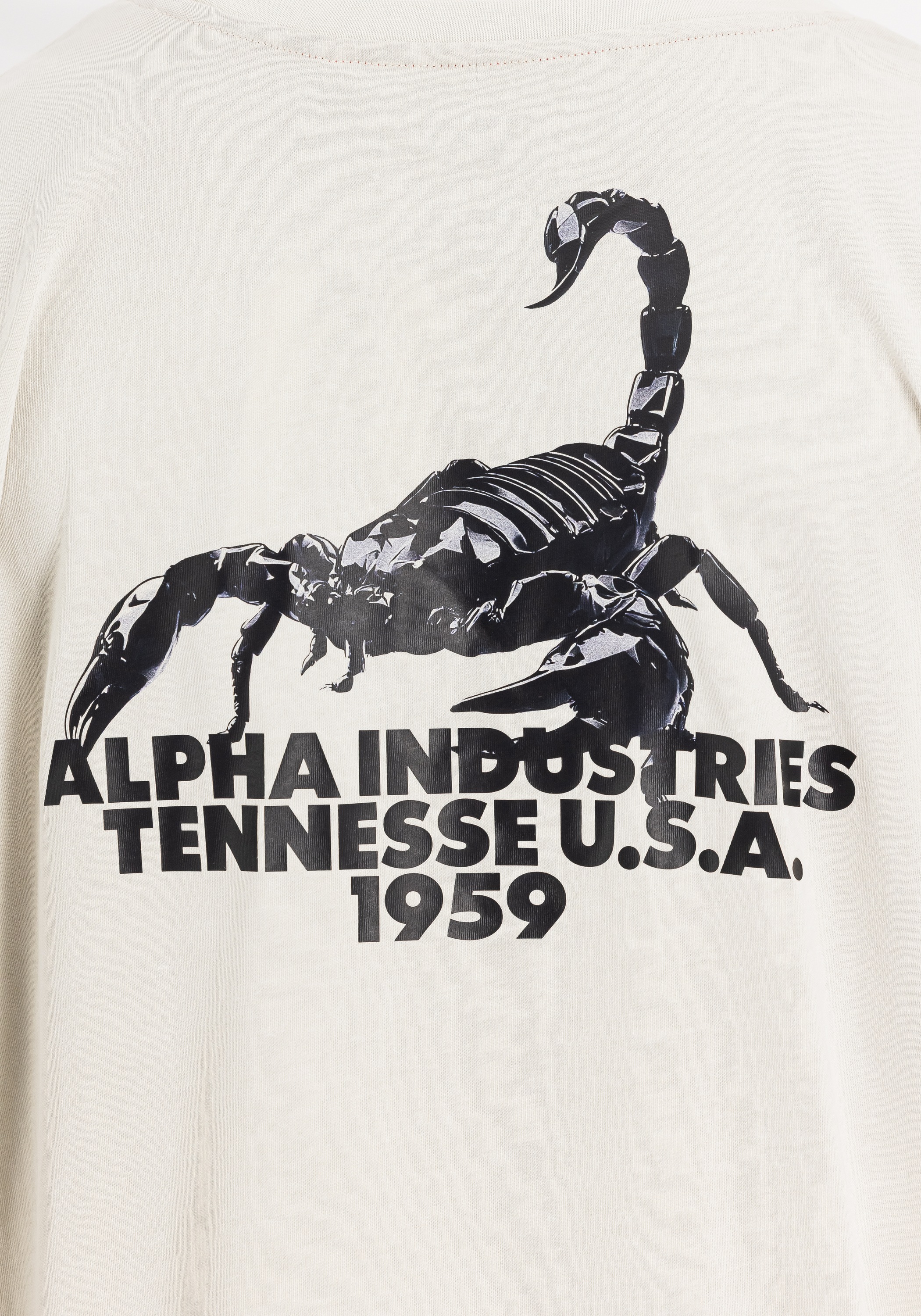 Alpha Industries T-Shirt »US Scorpion Backprint T-Shirt«