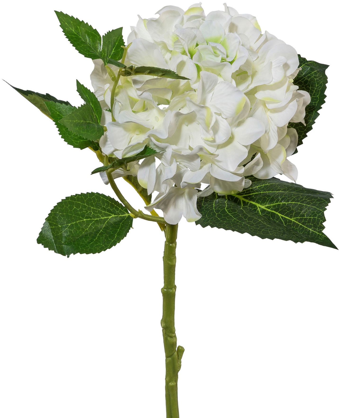 Creativ green Kunstblume »Hortensie«