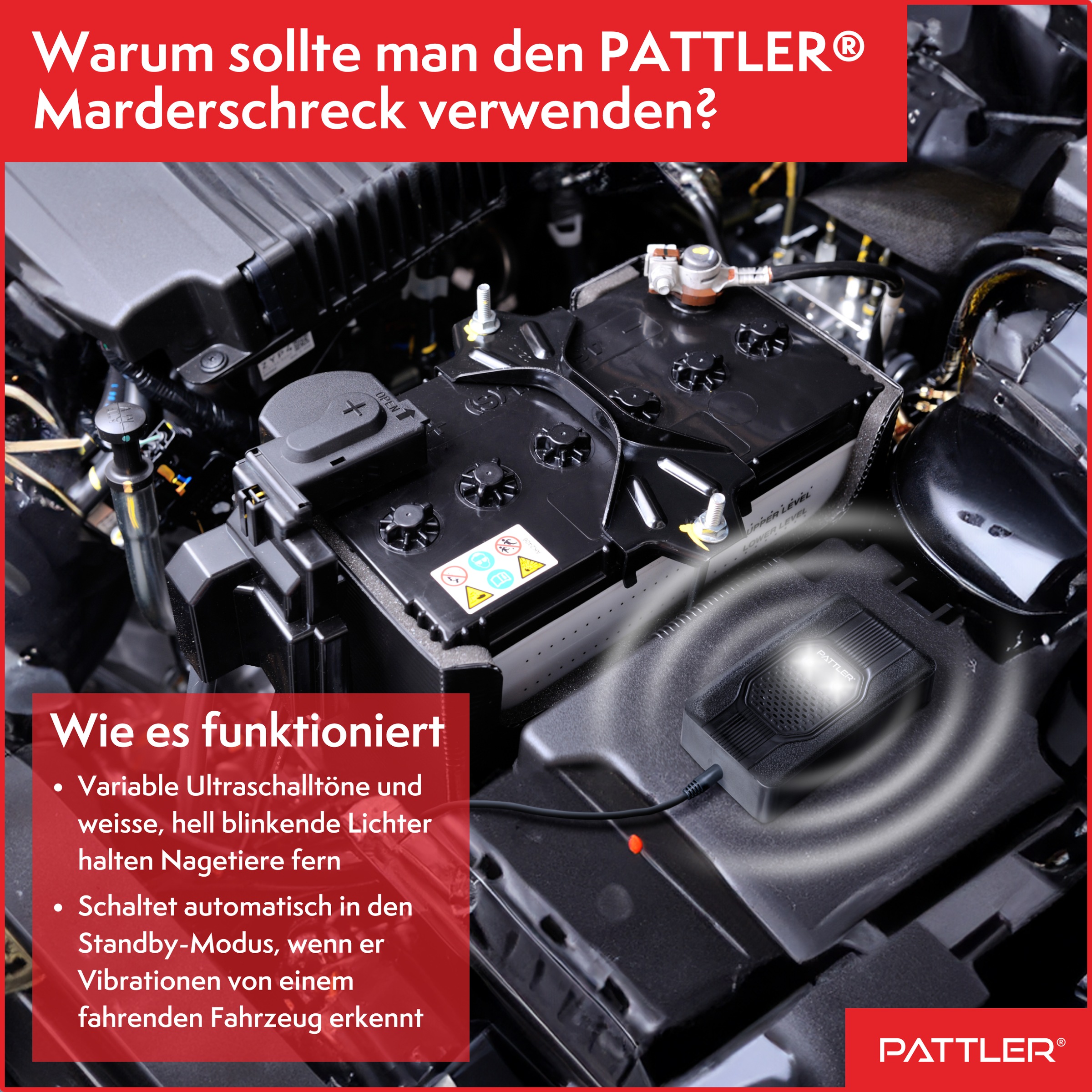 Pattler Ultraschall-Tierabwehr »Marderschreck fürs Auto mit Blitzlicht« 1 Gerät