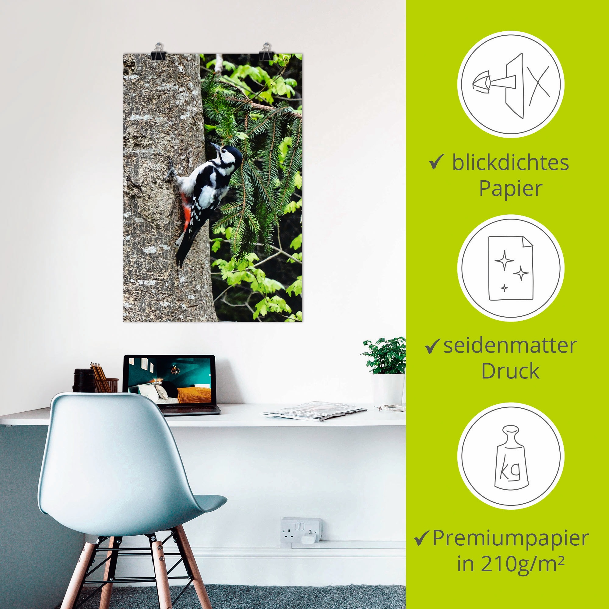 Artland Poster »Buntspecht im Wald« Vögel 1 Stk. tlg. ohne Rahmen