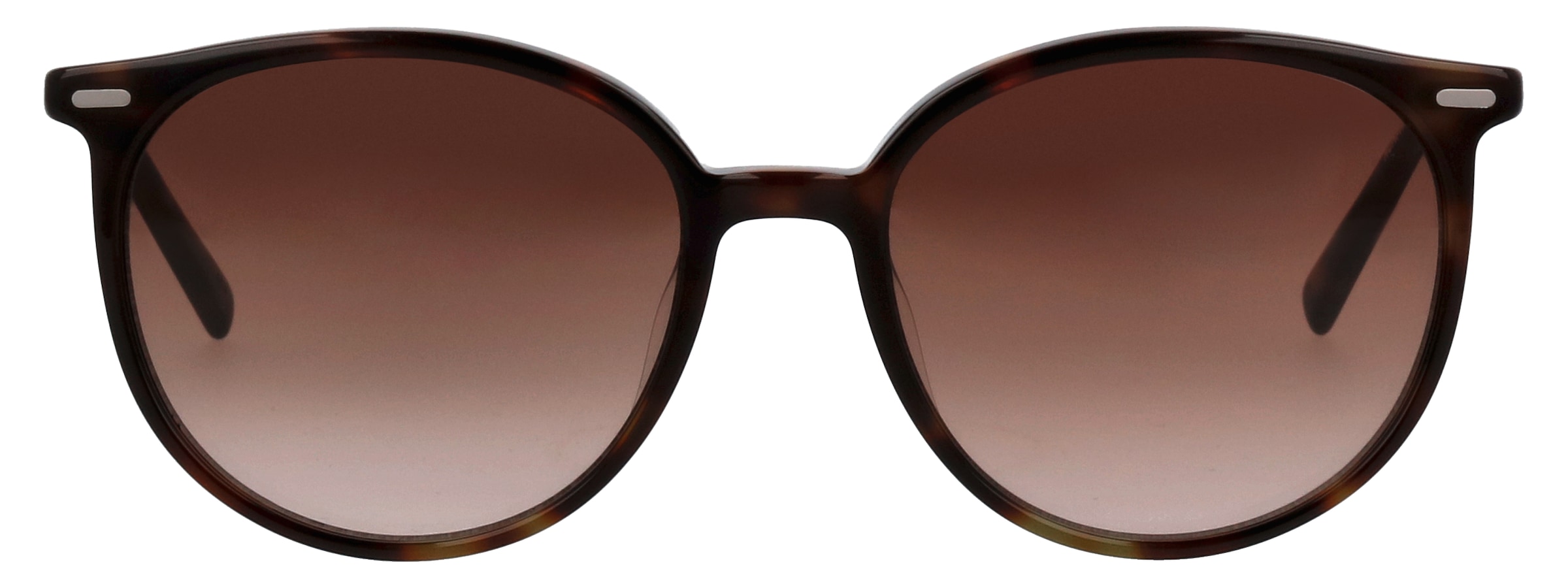 HUMPHREY´S eyewear Sonnenbrille »585345«, Form Panto, Federscharnier, Polyamid UV 400