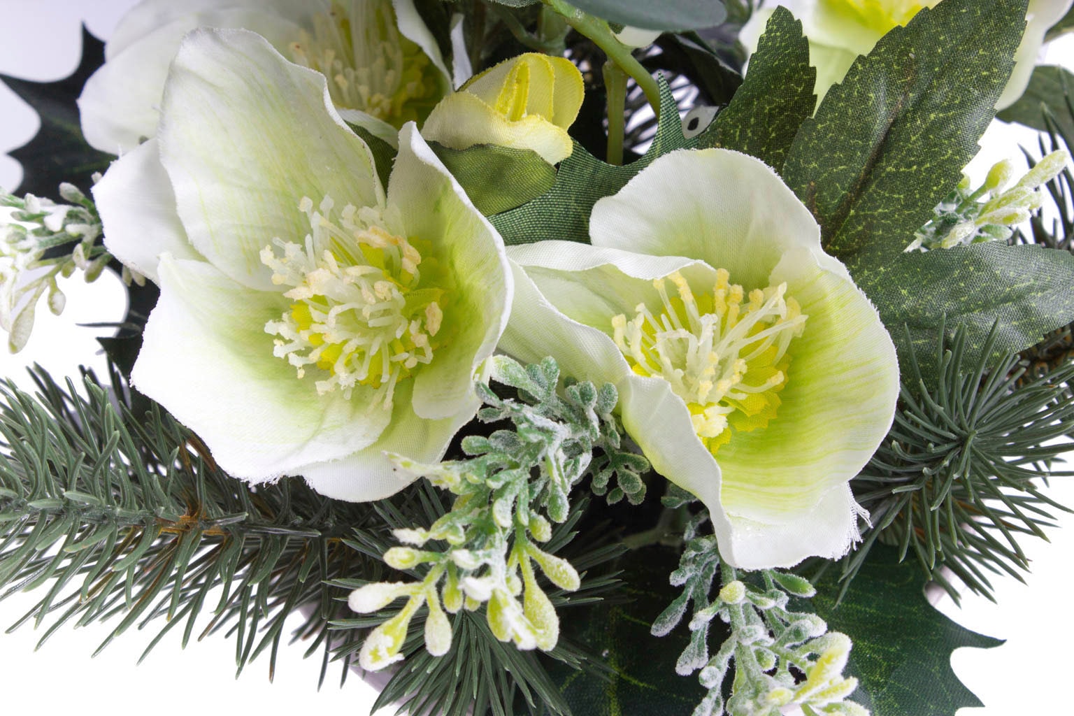 Botanic-Haus Künstliche Zimmerpflanze »Christrosen-Tannen-Arrangement im  Topf« auf Raten bestellen