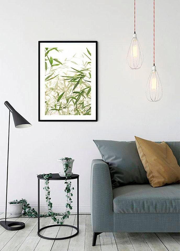 Komar Bild »Bamboo Leaves«, Pflanzen-Blätter, (1 St.), Wandbild zur Dekoration - ohne Rahmen