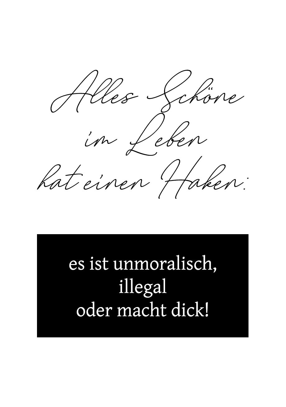 queence Wanddekoobjekt »Alles Schöne im Leben hat einen Haken: ...« Stahlschild, Blechschild, Spruch, Witzig, Wanddeko, retro, 20x30cm