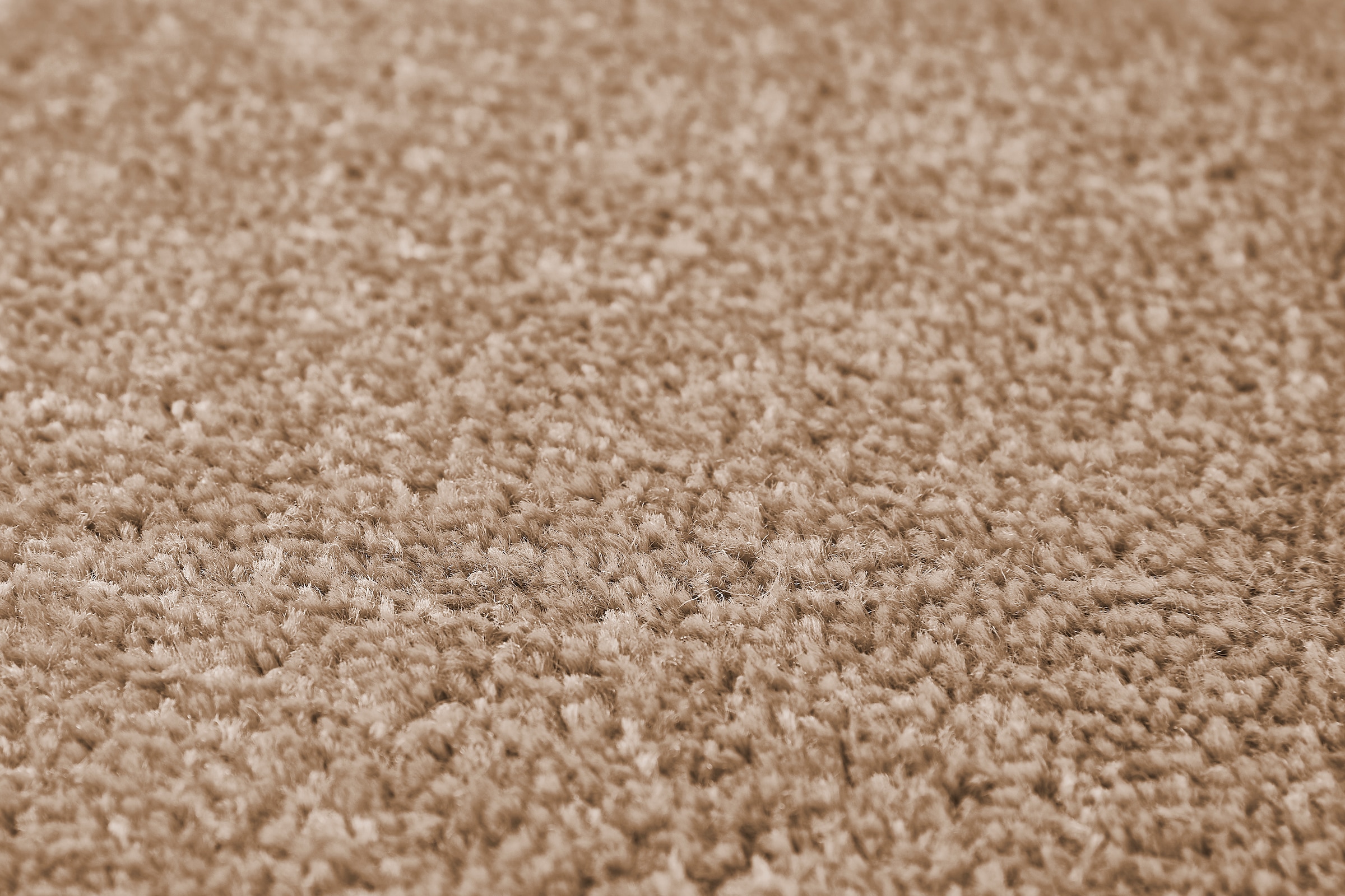 my home Teppichboden »Isabella, Velours, Made in Netherlands«, rechteckig, 8,5 mm Höhe, Breite 400 cm, Uni Farben, weich, pflegeleicht, strapazierfähig
