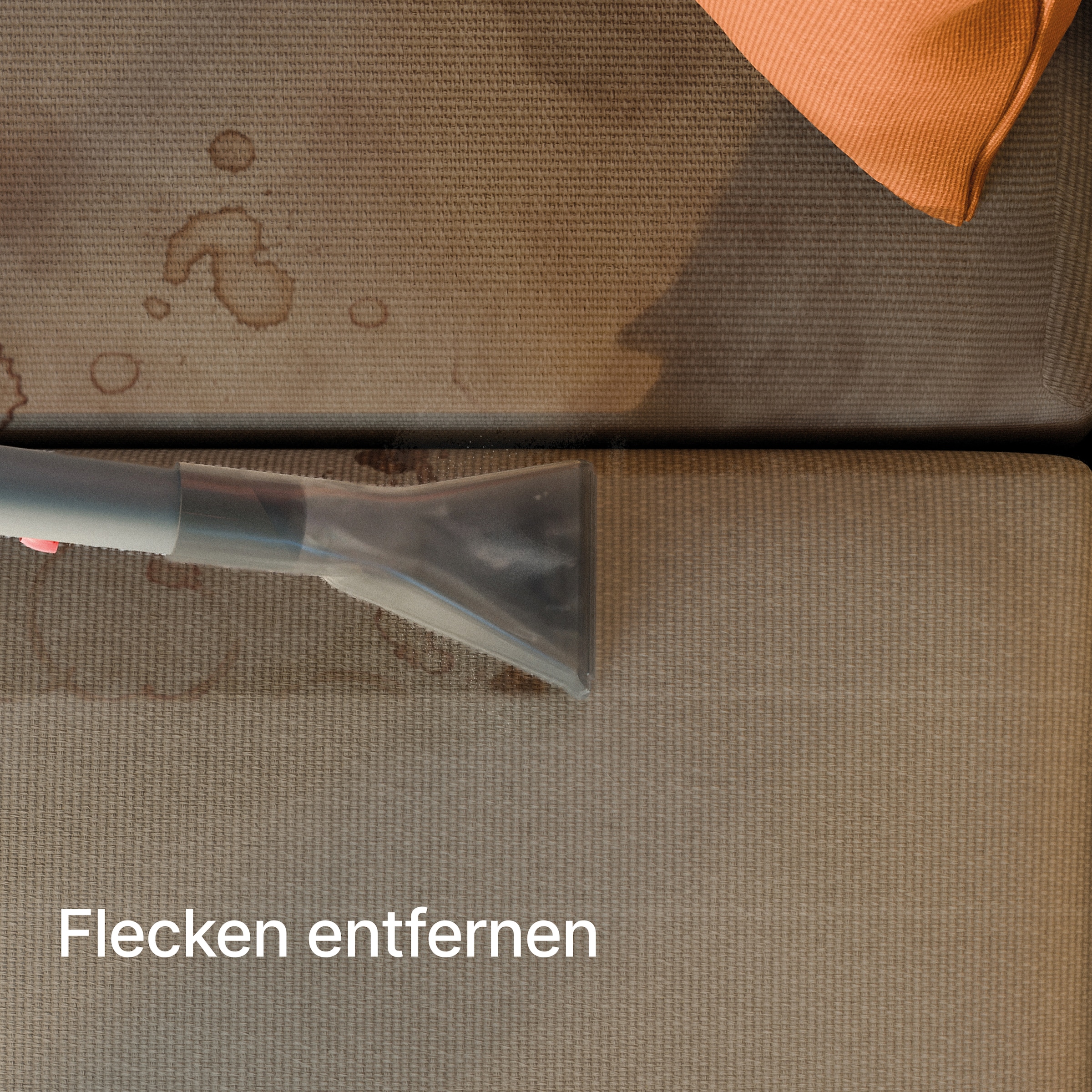 Thomas Staub-Wasch-Sauger »THOMAS PET & FAMILY PRO 4ALL«, mit 2-fach beutelloser Filtertechnologie