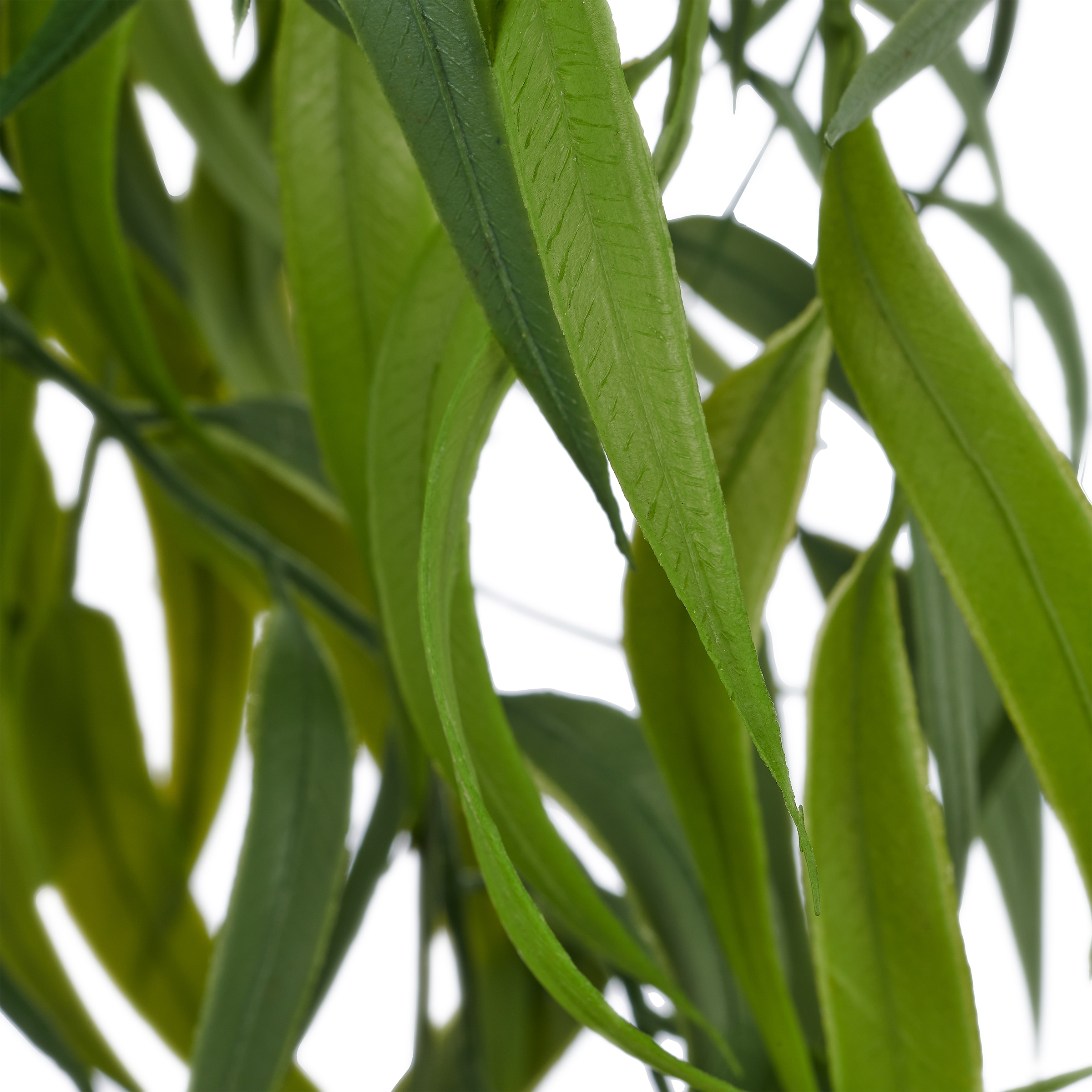 Creativ green Kunstranke »Eukalyptushänger« mit naturgetreu gestaltetem Blattwerk