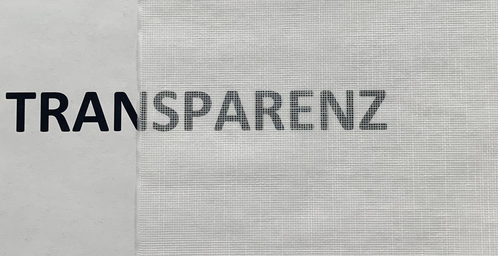 HOME WOHNIDEEN Schiebegardine »AUERBACH UNI« Paneelwagen 1 Stk. tlg. HxB: 245x60, Schiebevorhang Effektvoile Uni