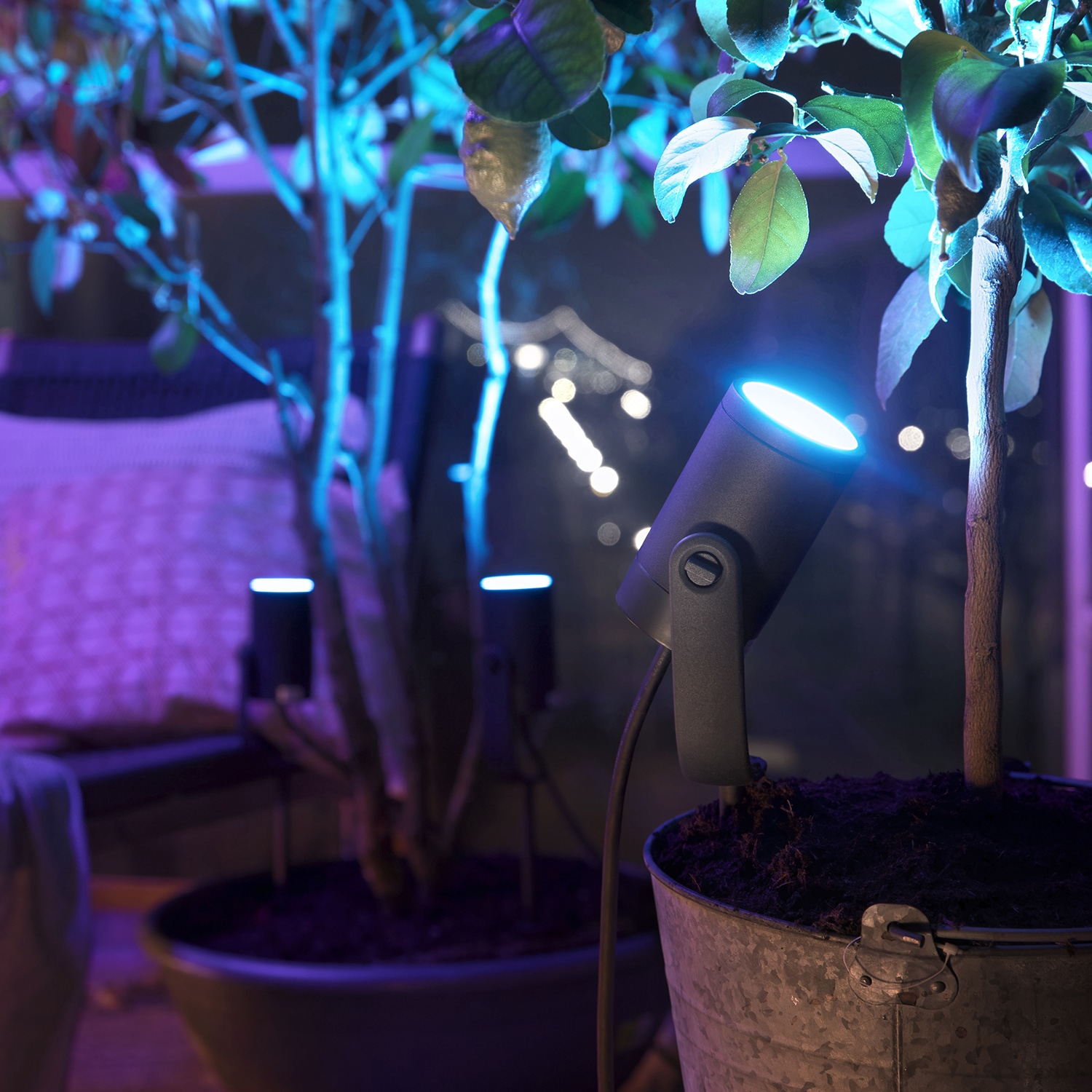 Philips Hue Smarte LED-Leuchte »Lily Gartenspot« online kaufen | mit 3  Jahren XXL Garantie