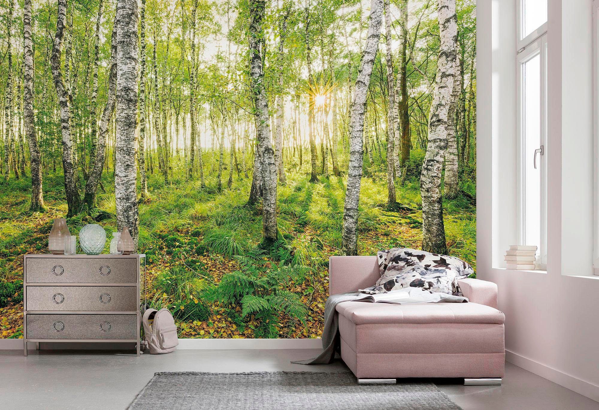 Komar Vliestapete »Digitaldruck Vlies - Birch Trees - Größe 400 x 250 cm«, bedruckt, Wohnzimmer, Schlafzimmer